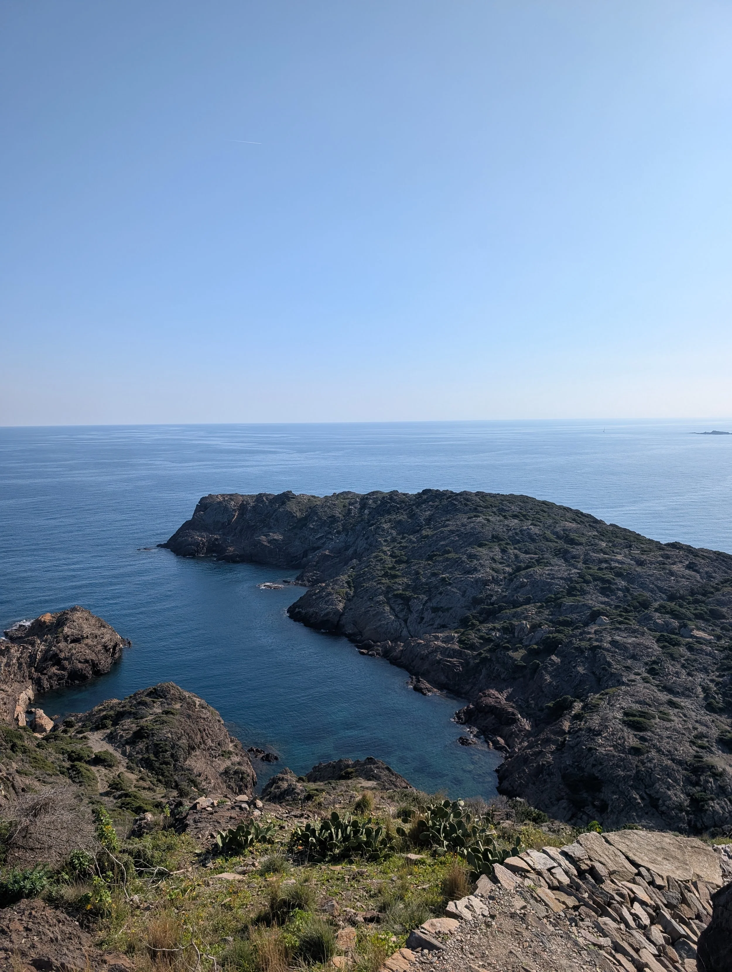 A rugged coastline with rocky cliffs, green shrubbery, and cactus plants overlooking a vast blue ocean under a clear sky.