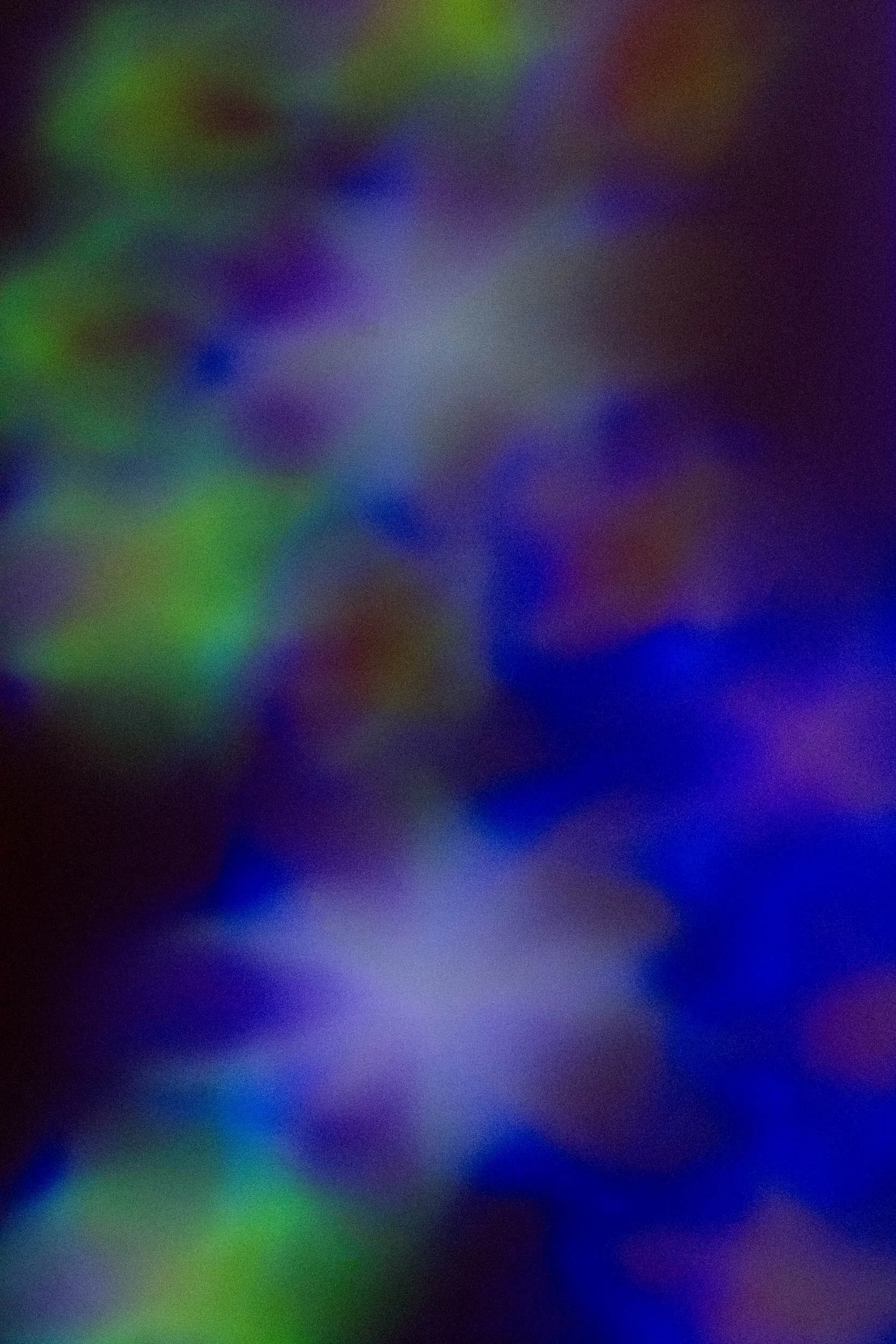 STARDUST 7.jpg