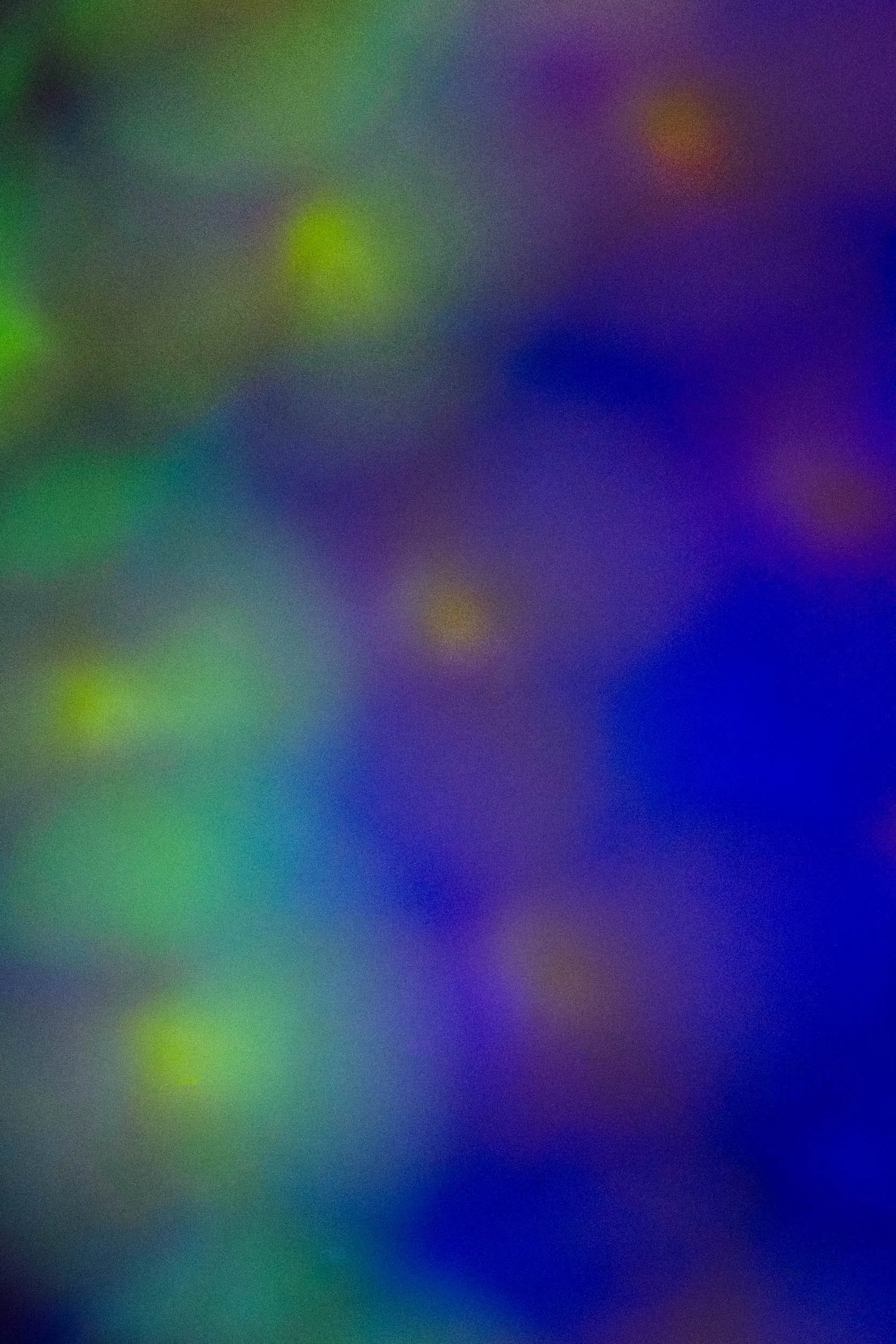 STARDUST 8.jpg