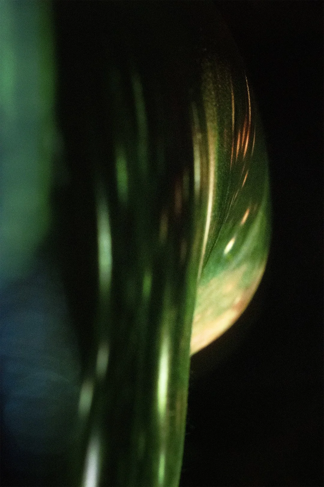 OF THE STARS PROJECTIONS11 copy.jpg