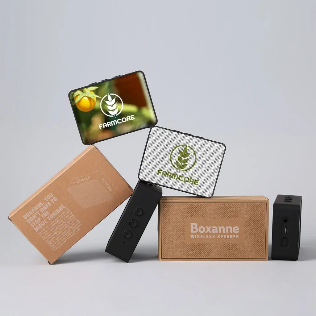 BoxanneWirelessSpeaker.webp