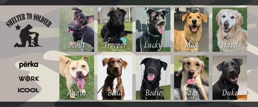 Buy Branded Gear, Save Lives of Pets and Vets