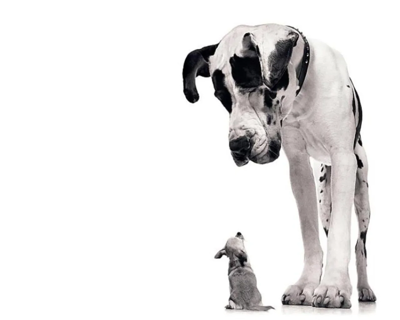 Beating Amazon with Real World Engagement