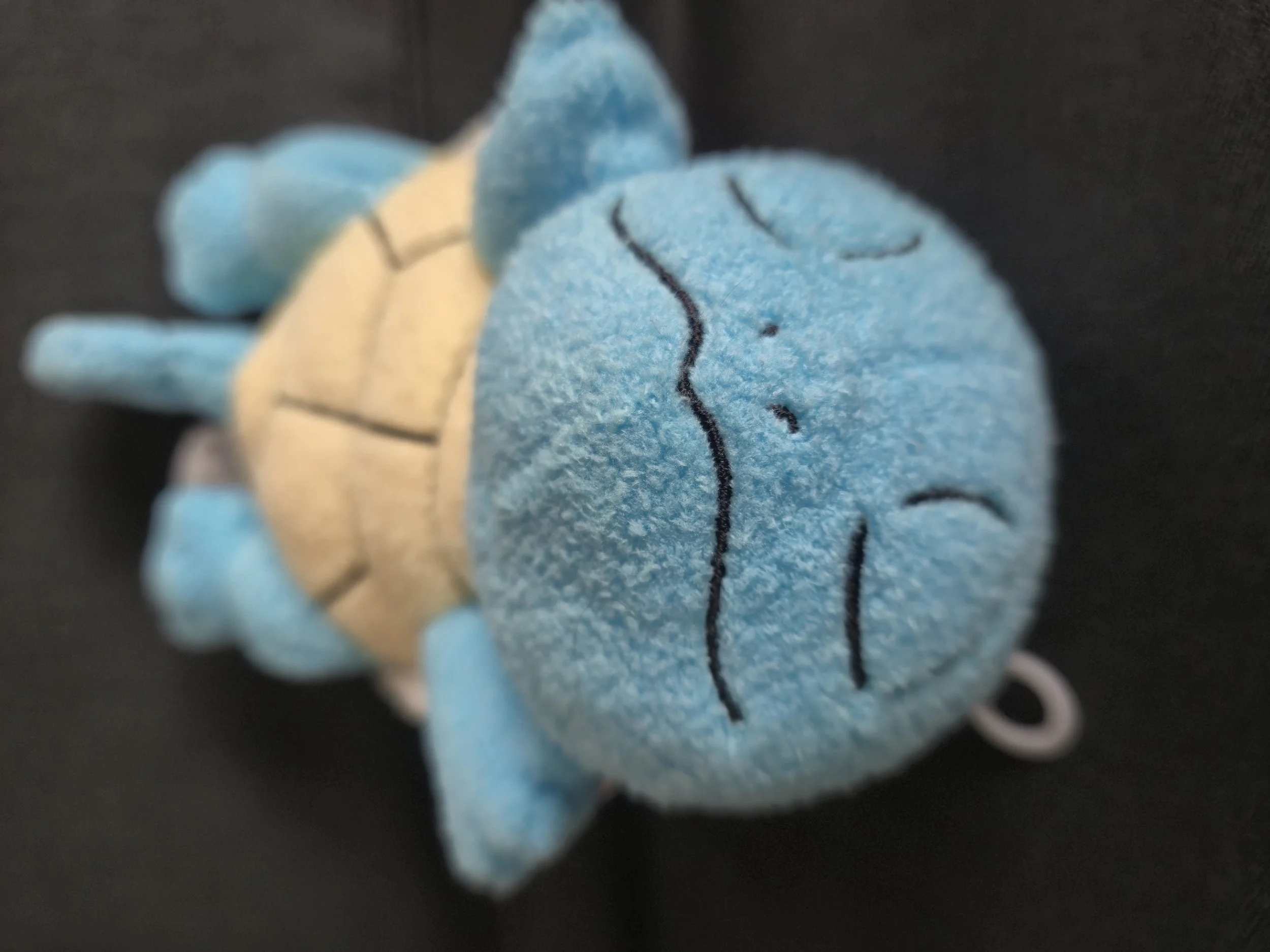 Sleeping Squirtle mini plush