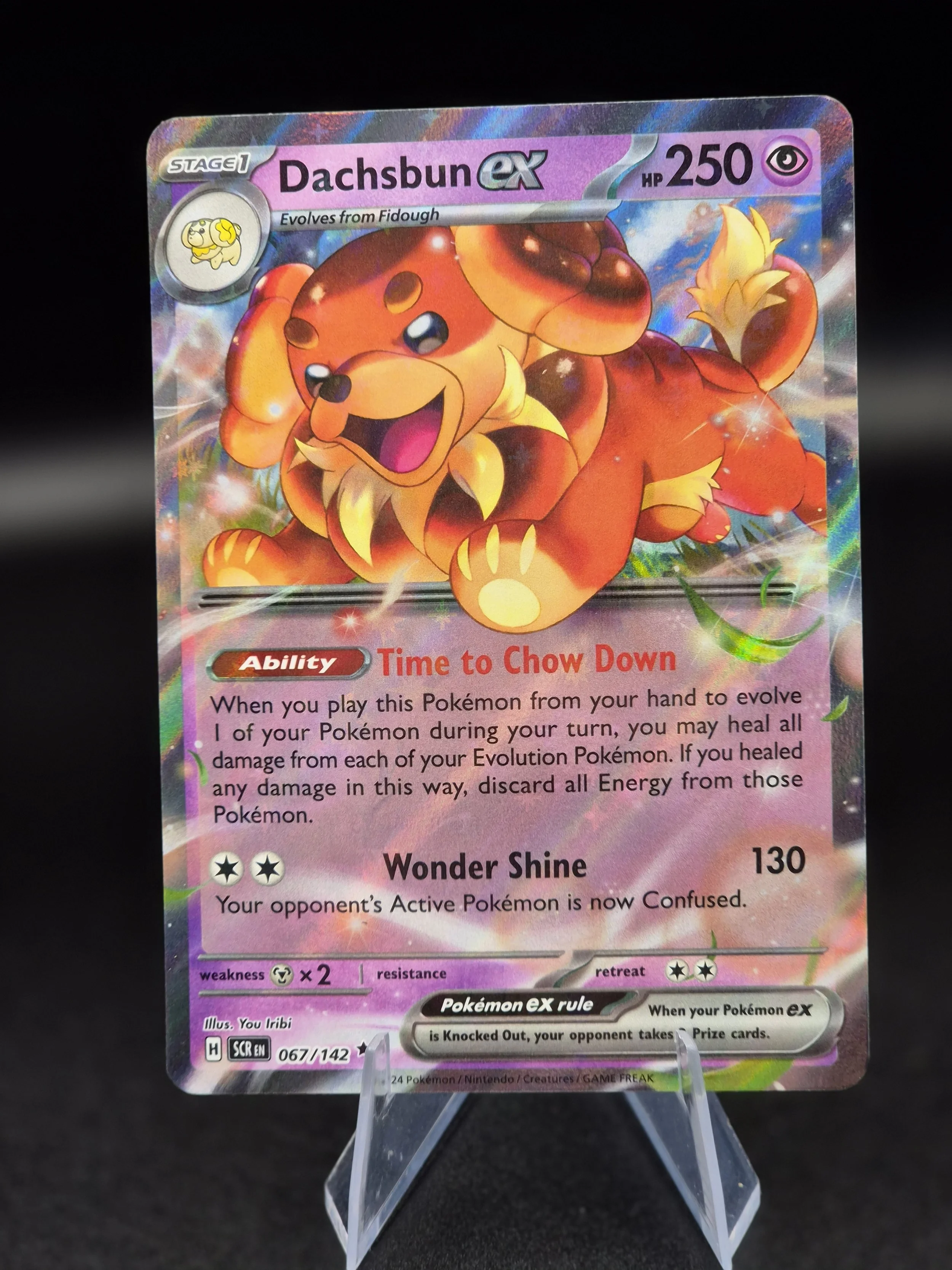 Dachsbun ex 067/142 Double Rare Stellar Crown Pokémon Card