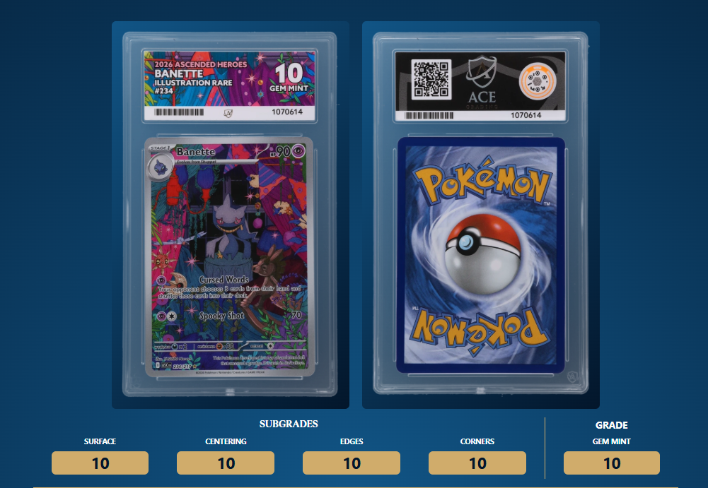 Screenshot 2026-08-24 001509.png
