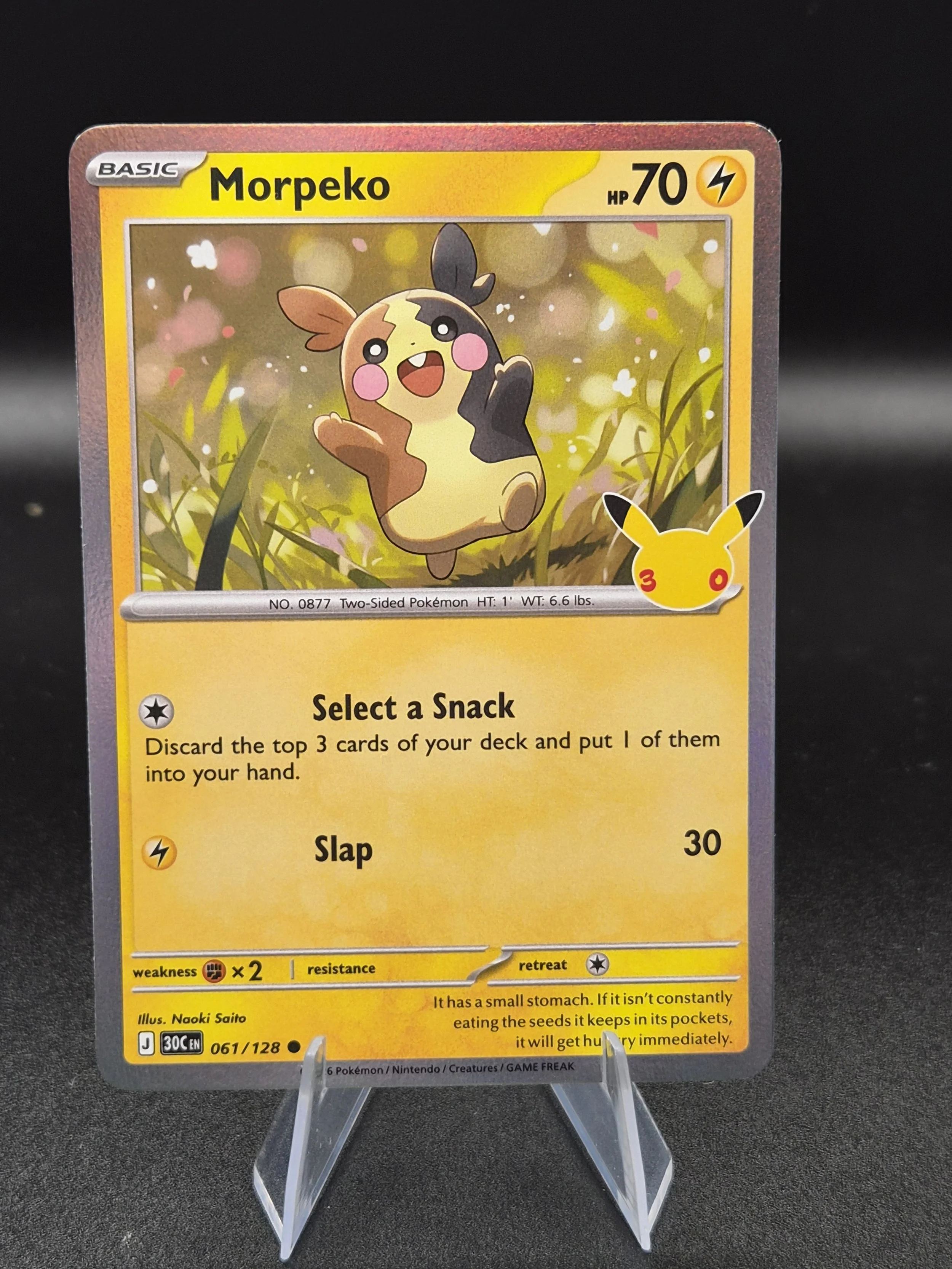 Morpeko 061/128 30th Celebration English Holo Pokémon Card