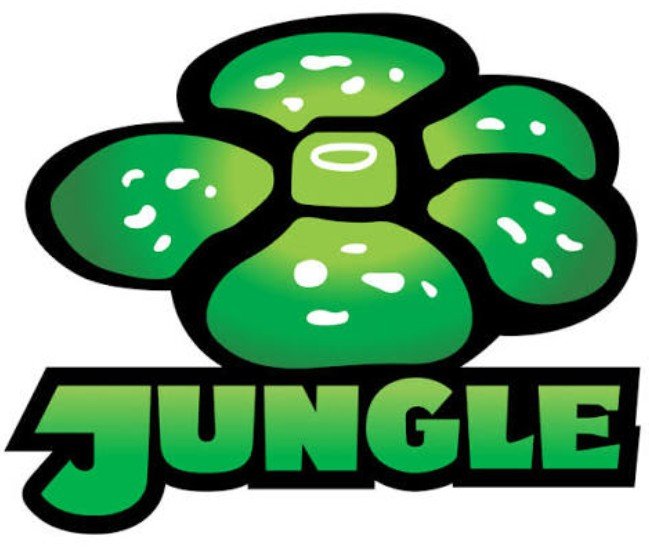 Pokémon Jungle Unlimited – Choose Your Card