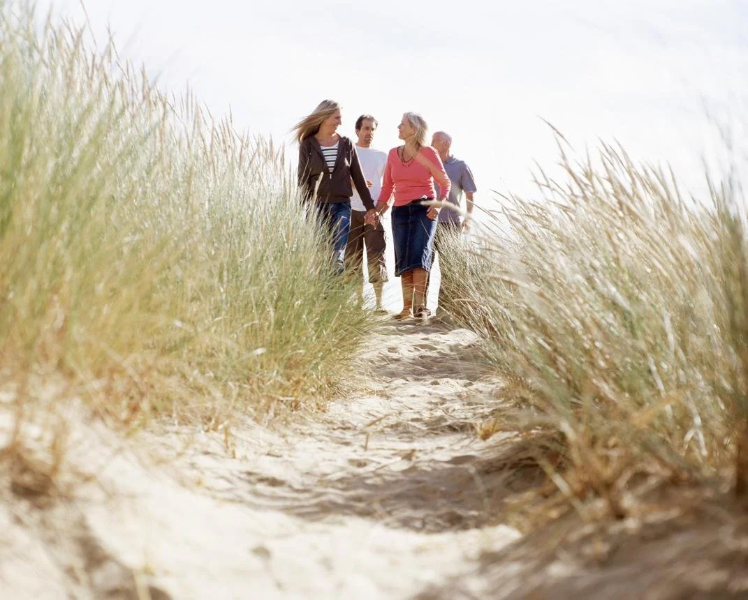 Four people walking hand in hand through a sandy dune with tall grass on either side.
