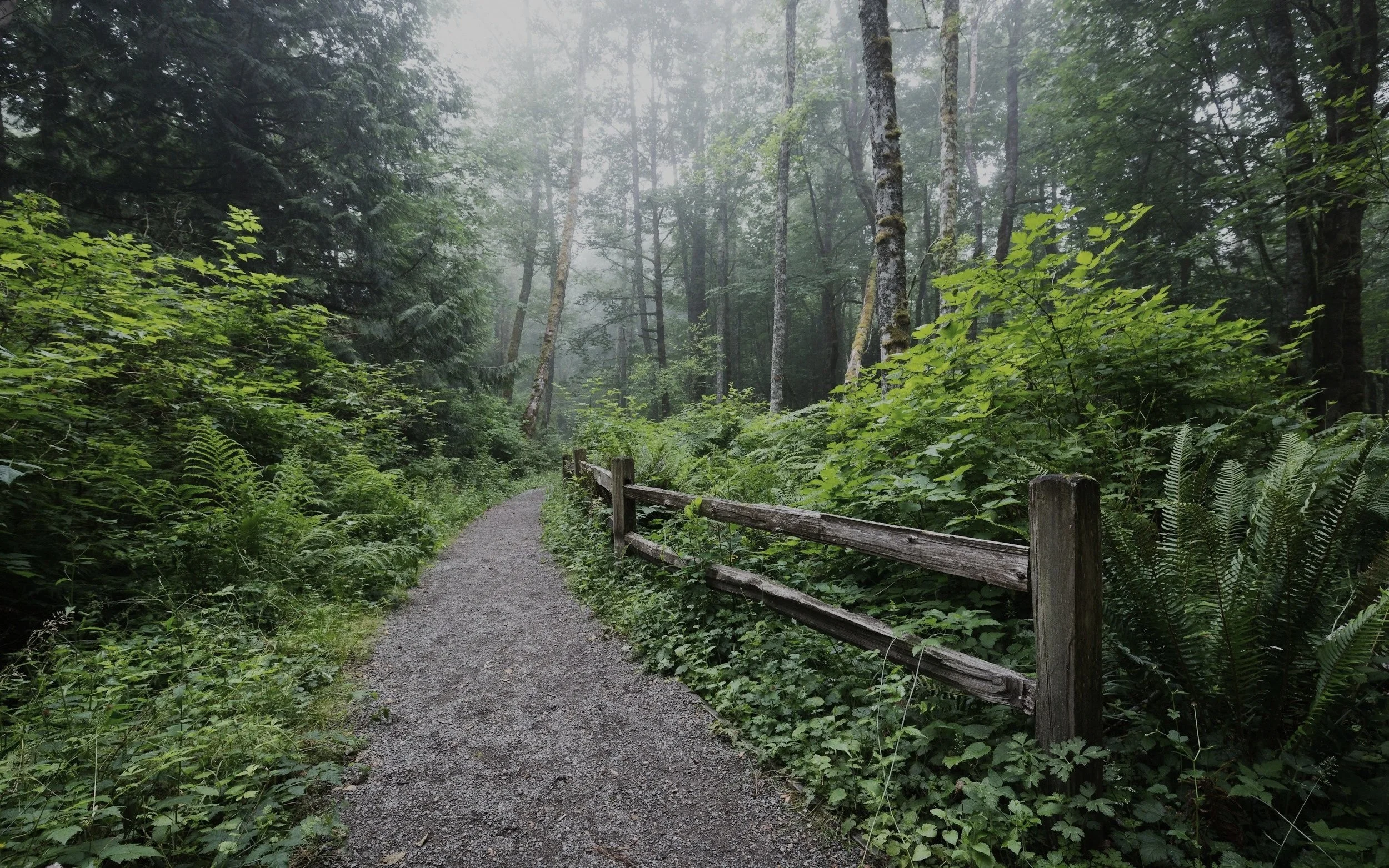A gravel trail running through a lush green forest with tall trees and dense foliage, partially bordered by a wooden fence.
