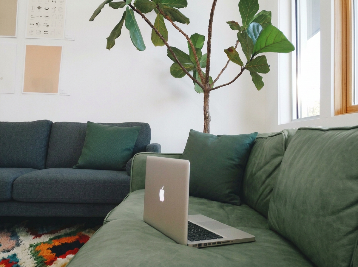 A living room with two green sofas, one with a laptop on it, a large potted plant, and windows letting in natural light.