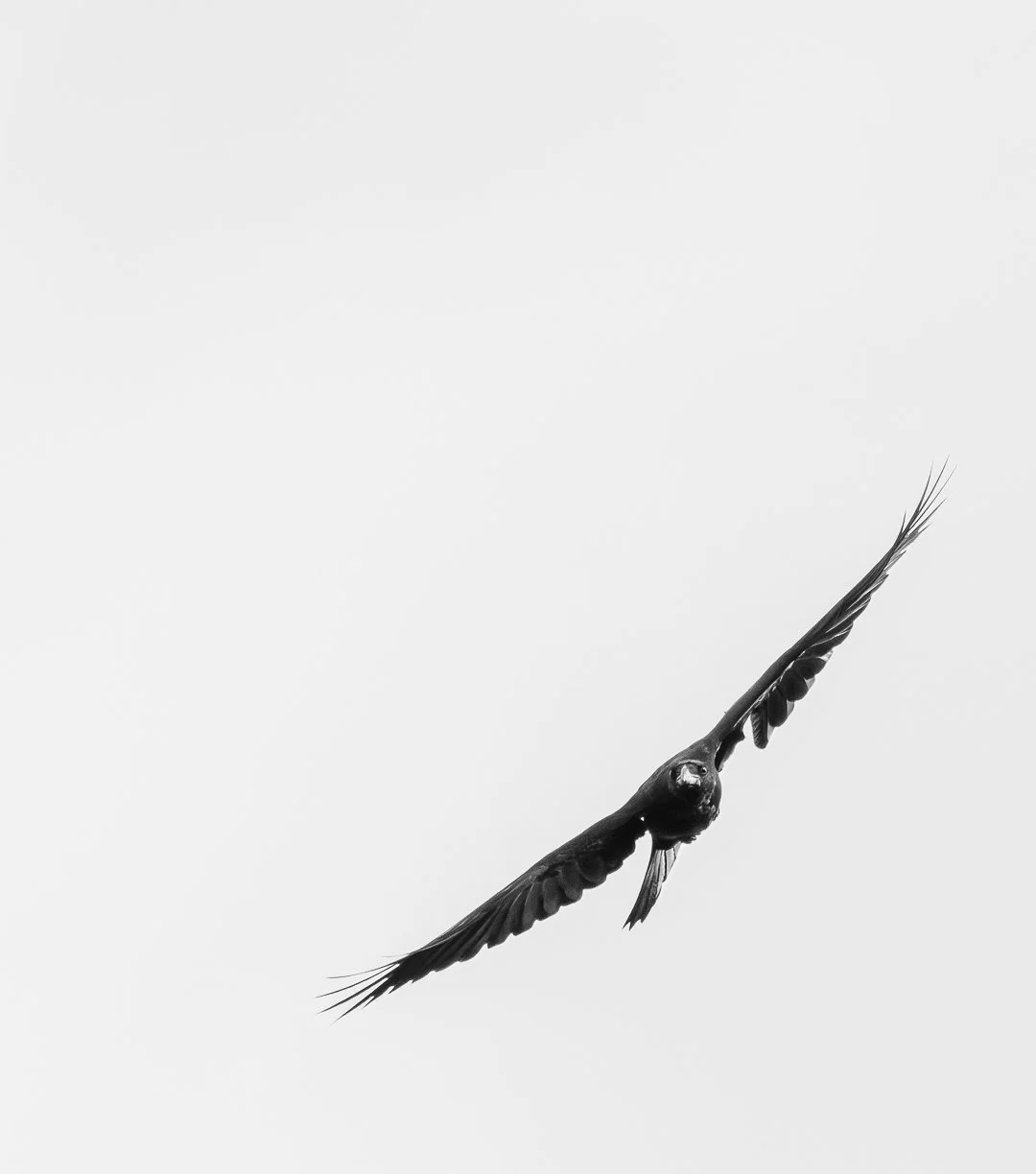 1F3A5949.jpg