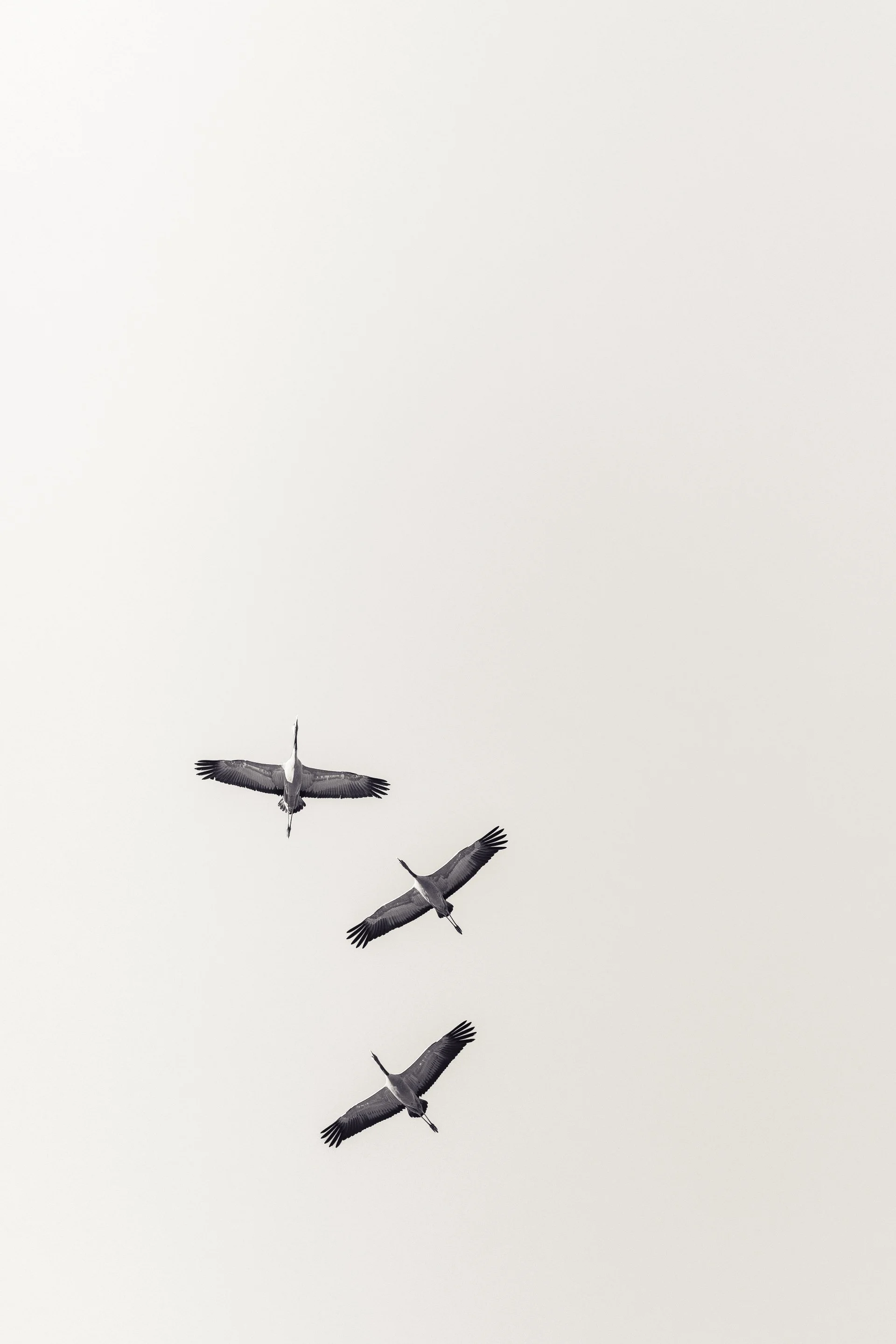 1F3A2783.jpg