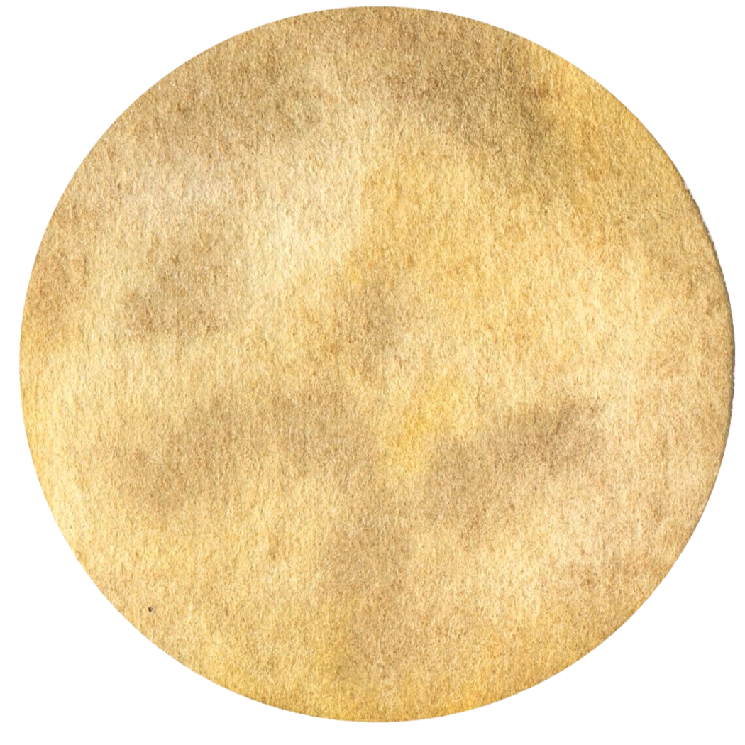 Close-up of a round, textured, golden circle