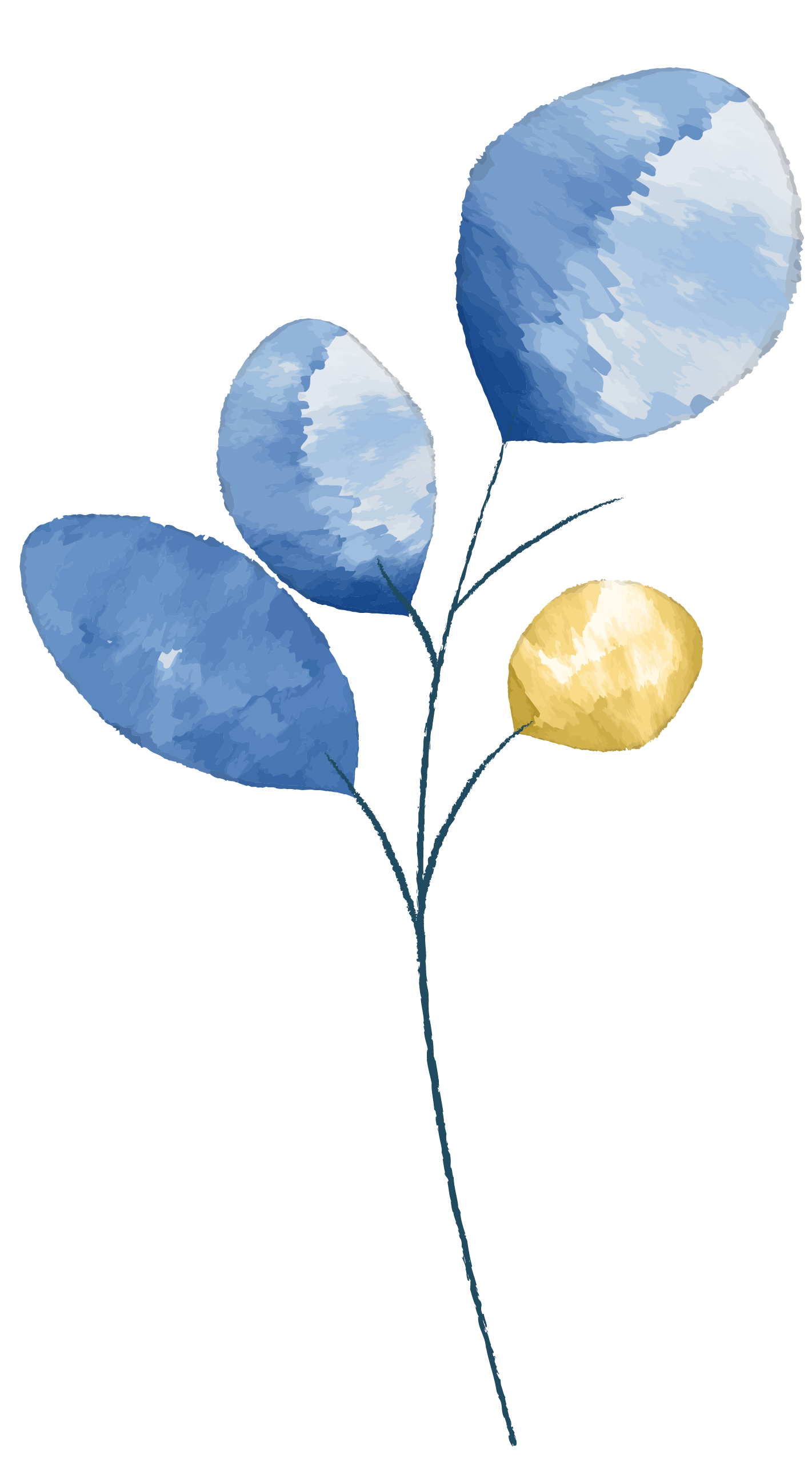Illustration of a bouquet of leaves with blue and gold