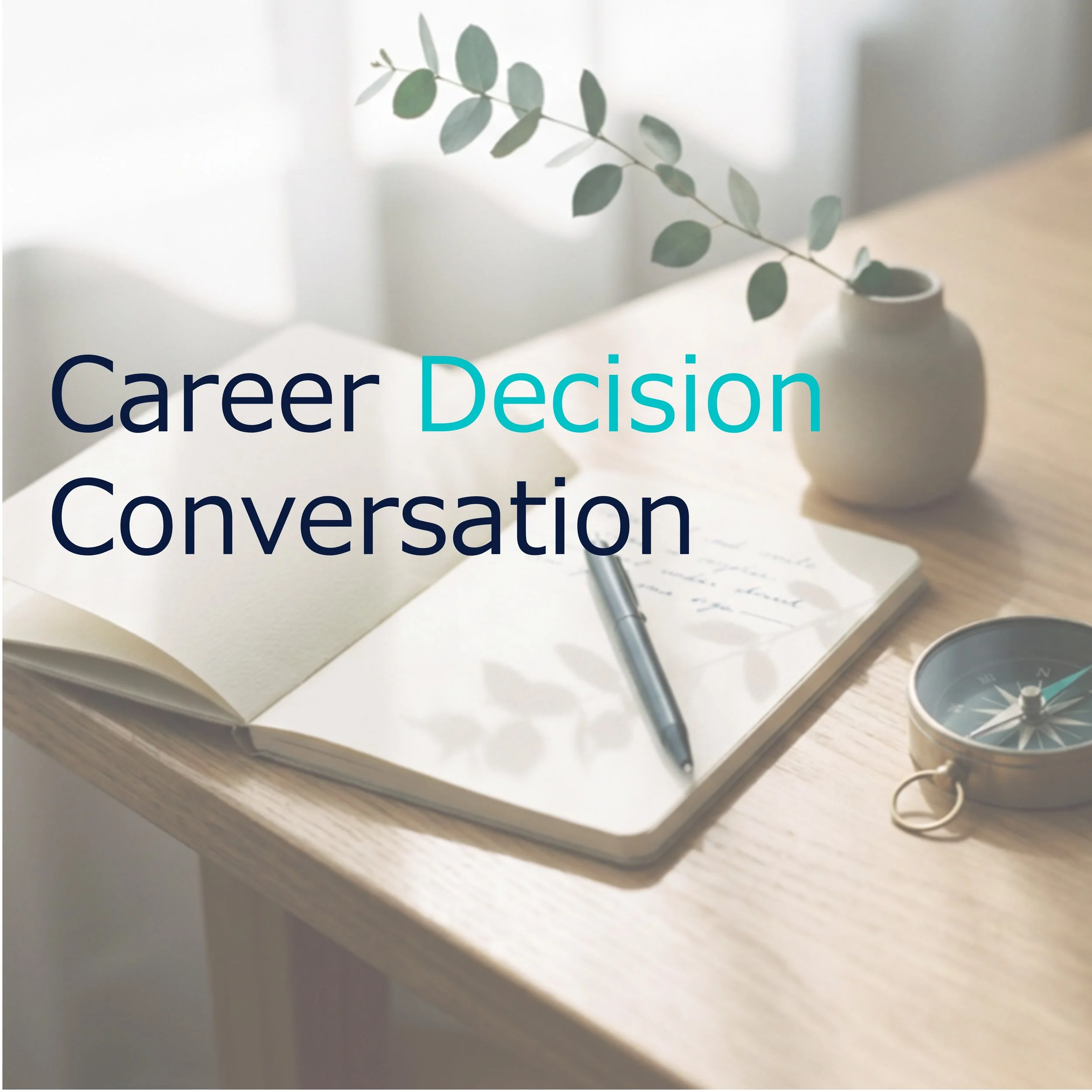 Career Decision Conversation
