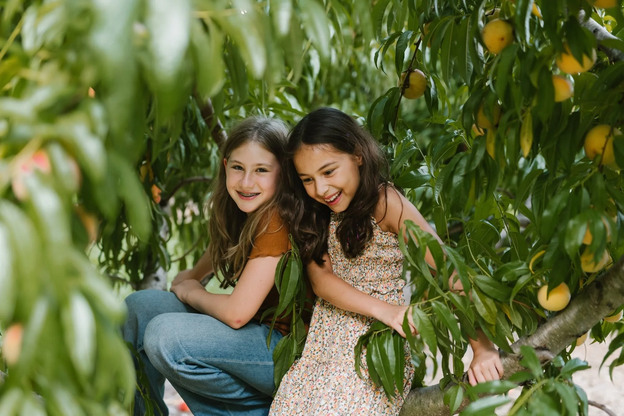 Rosie and Lilly 2.jpg