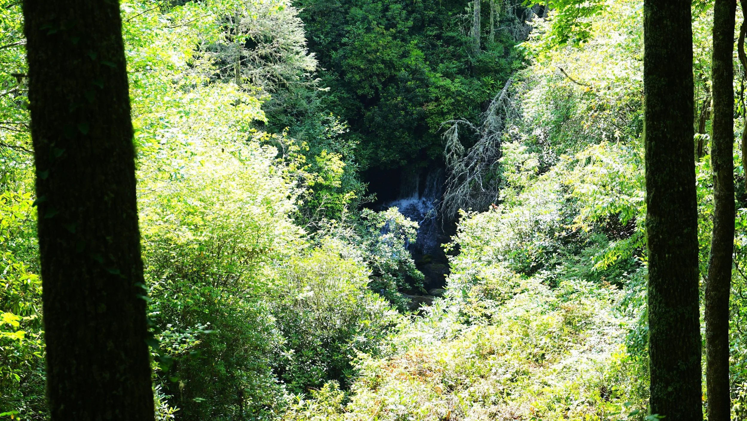 DSC04404.JPG