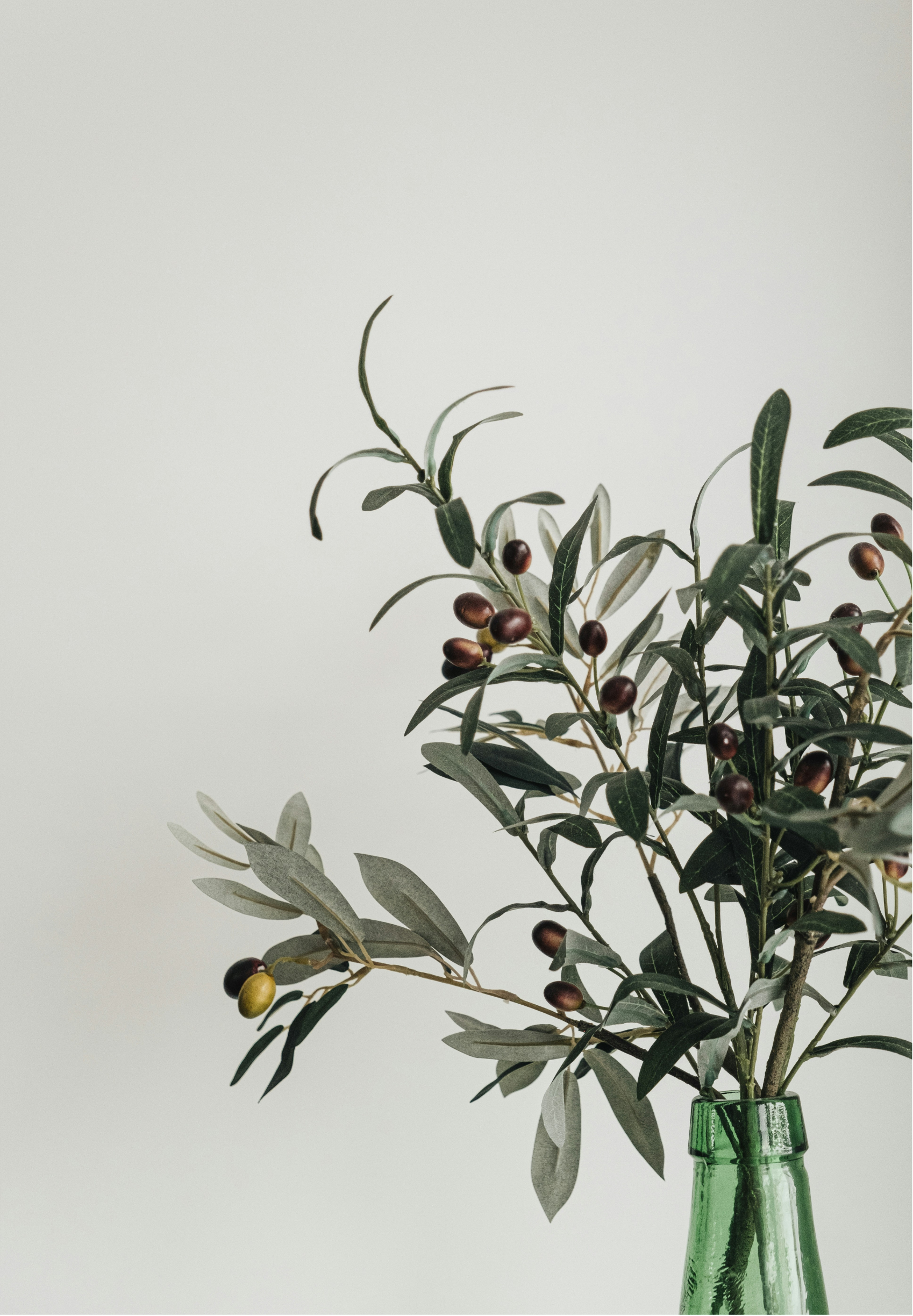 A plant with elongated green leaves and small dark purple berries, placed in a green glass vase against a plain light gray background.