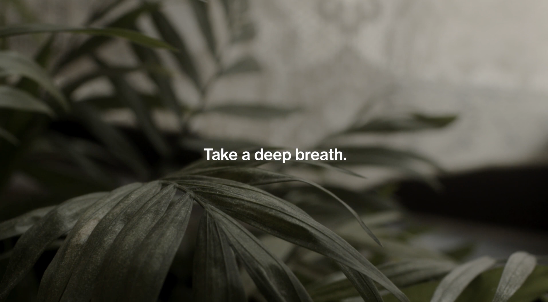 Be Still | Podcasts