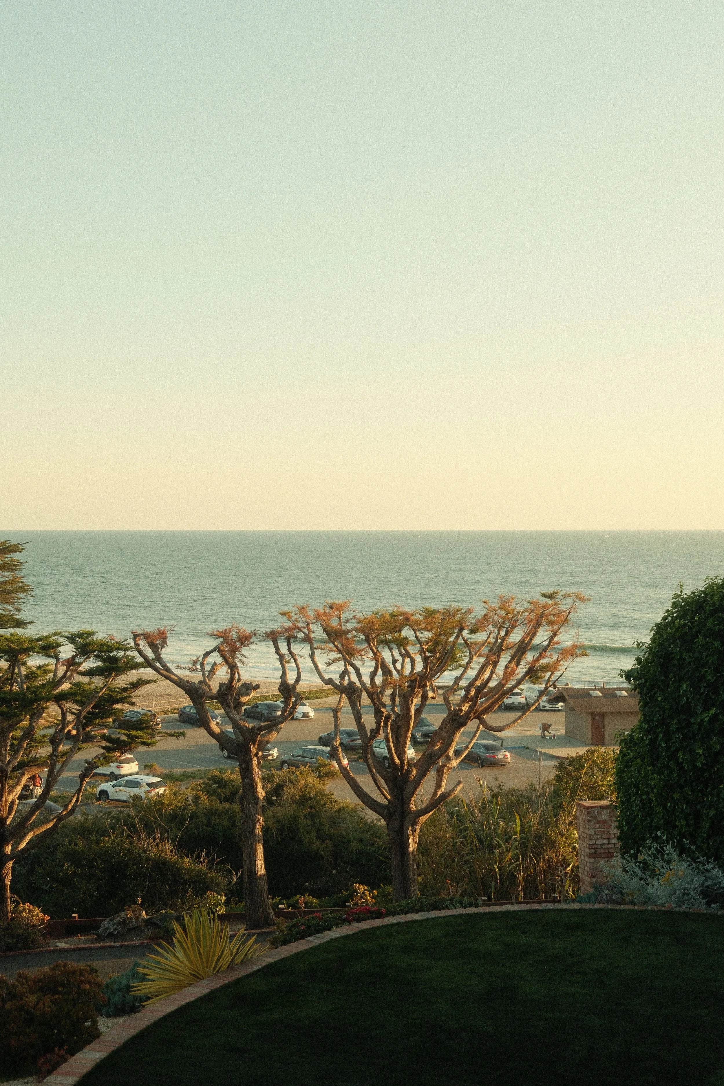 DSCF6217.jpg