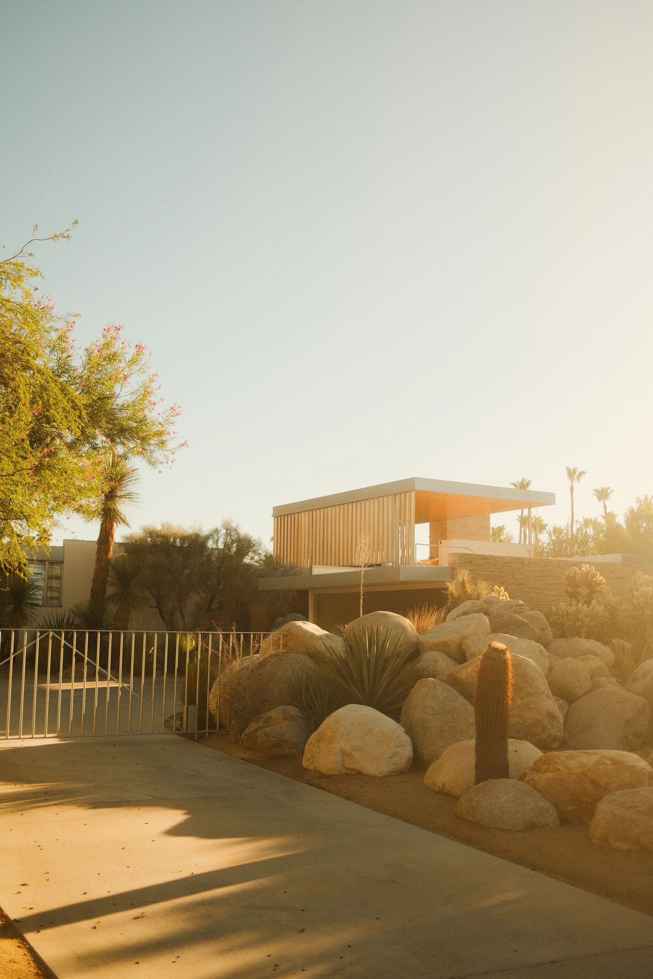 DSCF7613.jpg
