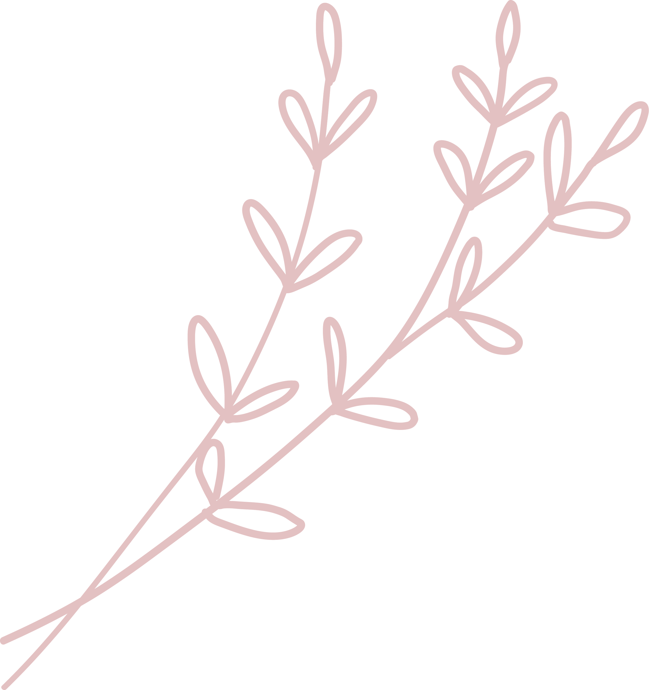 Pink botanical sprig: decorative