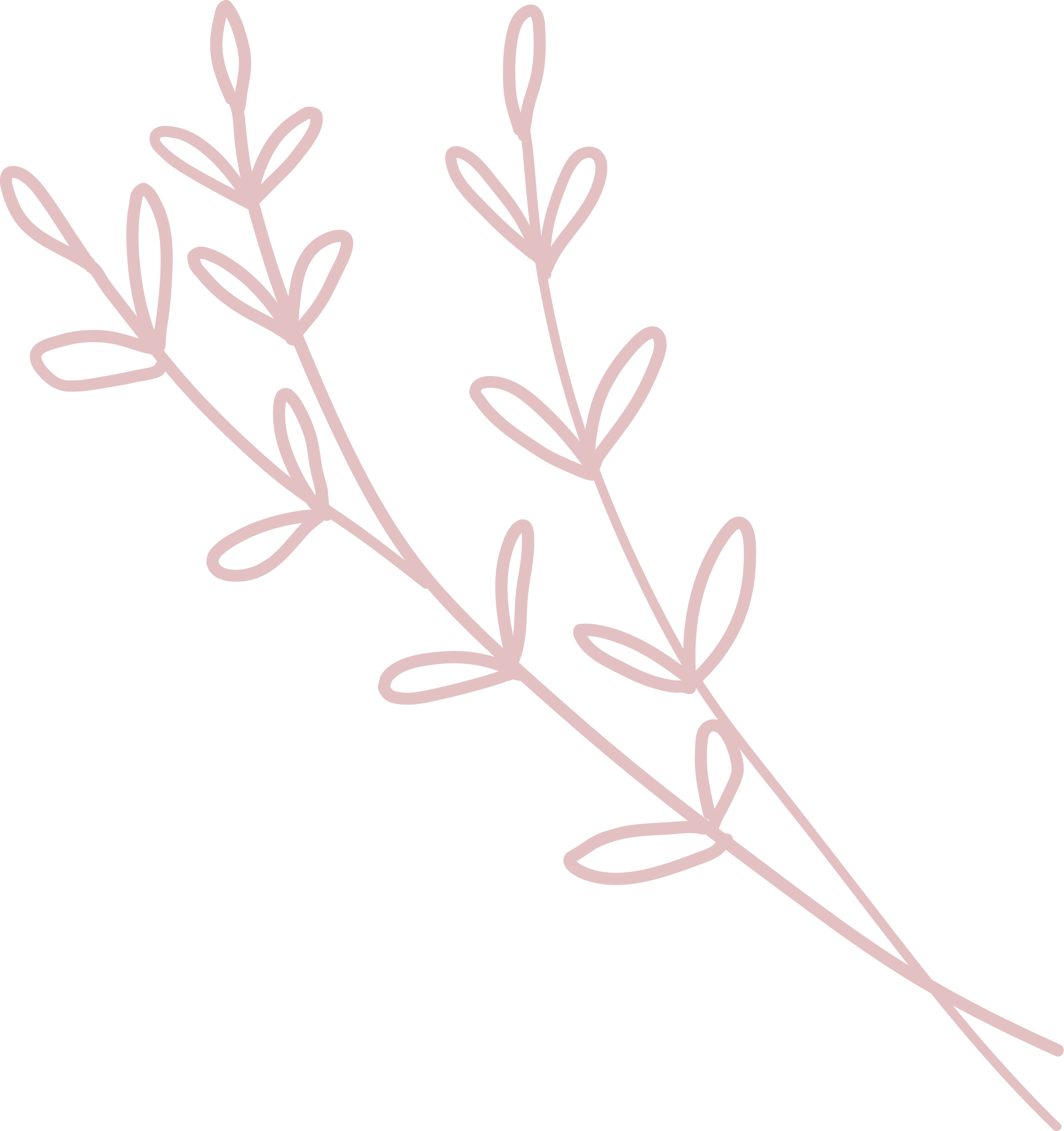 Pink botanical sprig: decorative