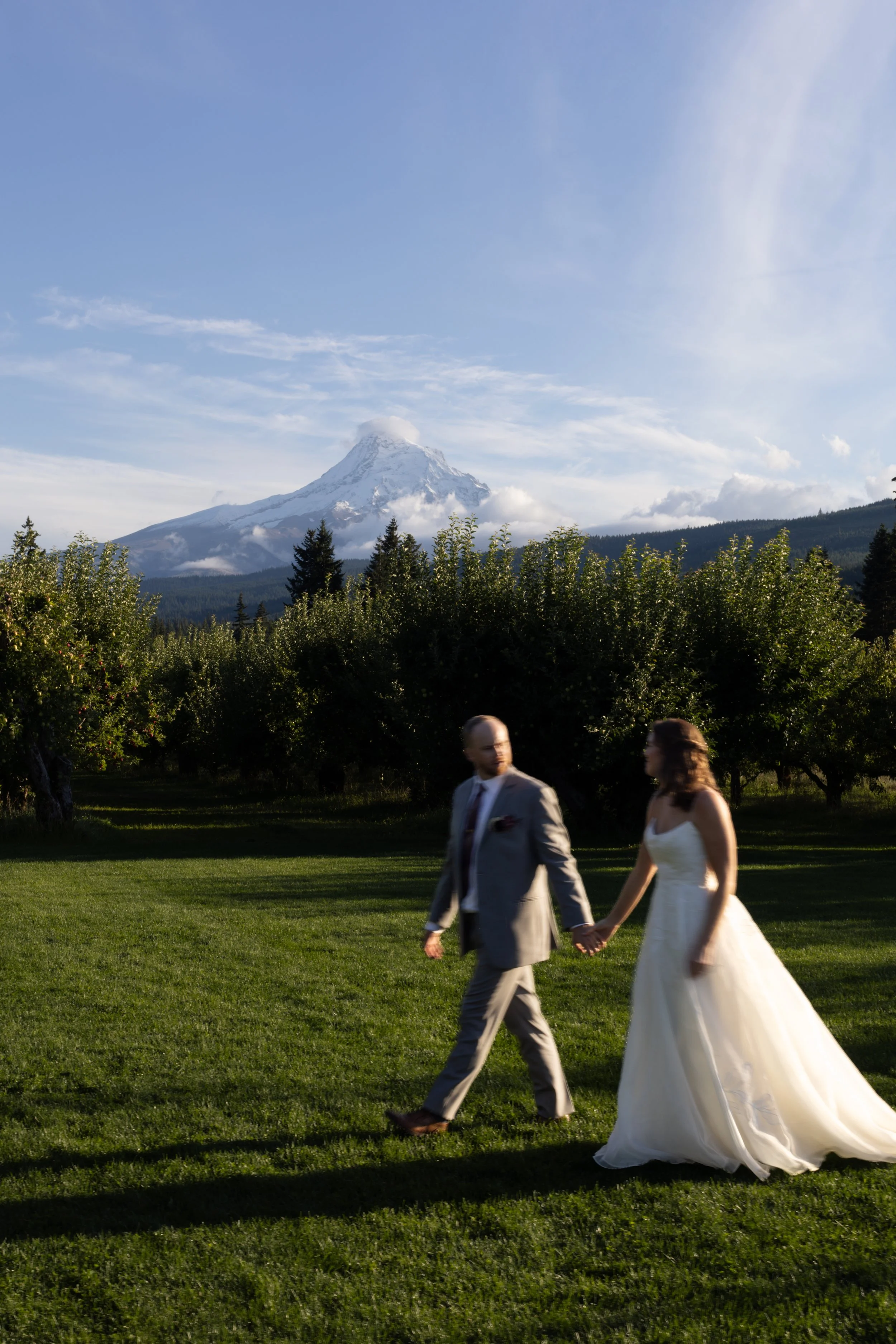 A bride and groom holding hands walking on a grassy field with trees and snow-capped mountains in the background.