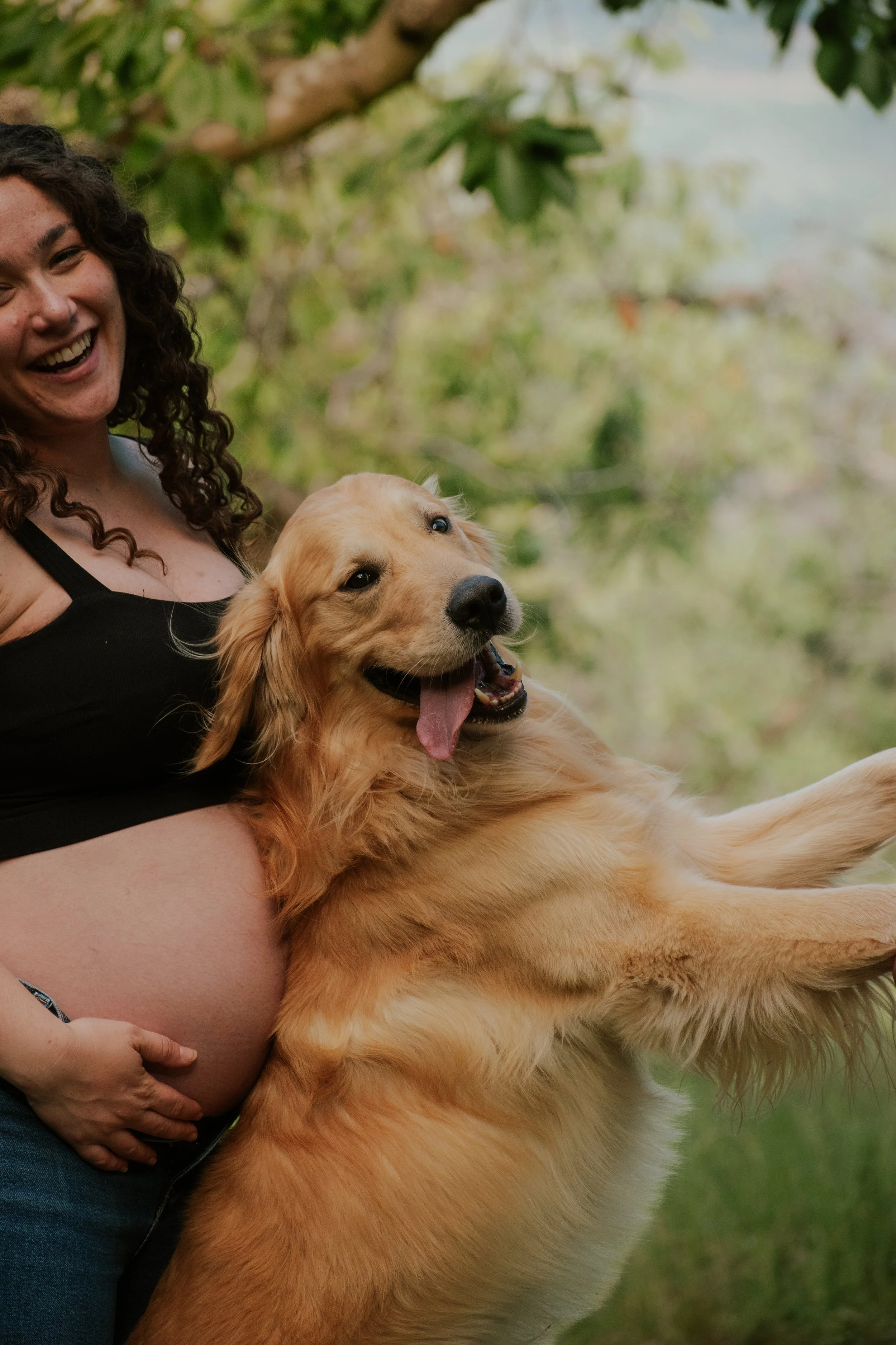 A woman with curly hair laughing, holding a large golden retriever dog outdoors in a green, leafy area.