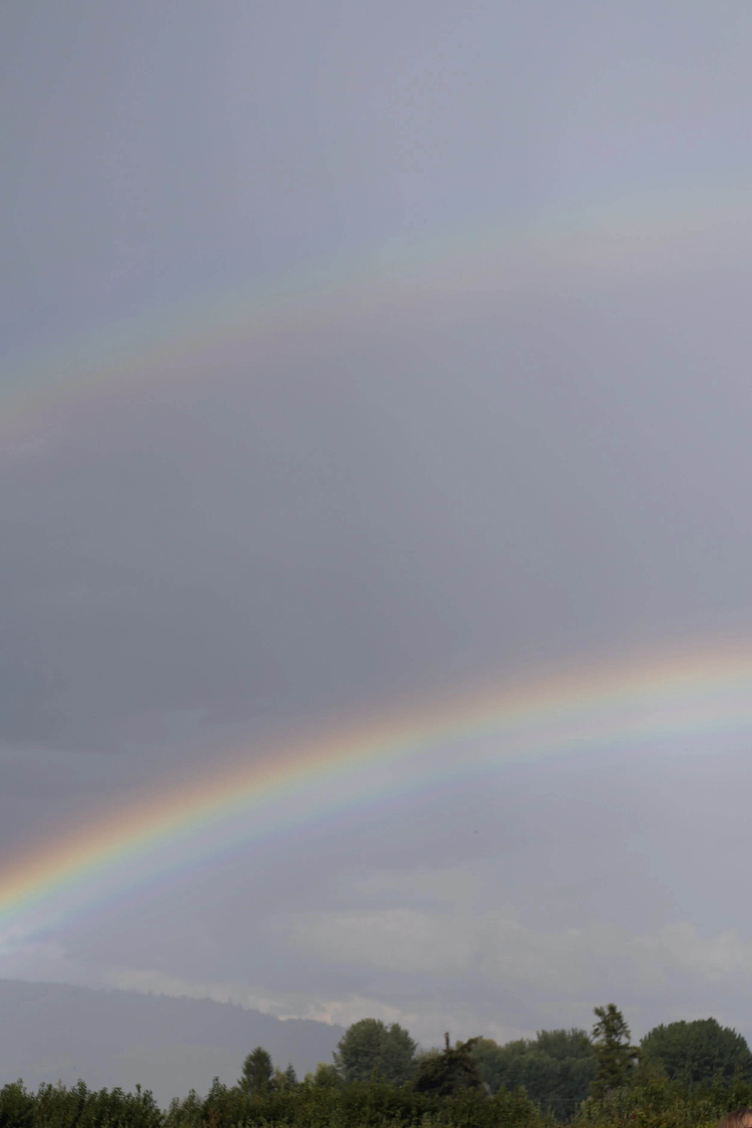 A rainbow in the sky above a landscape of trees and distant hills, with dark clouds overhead.