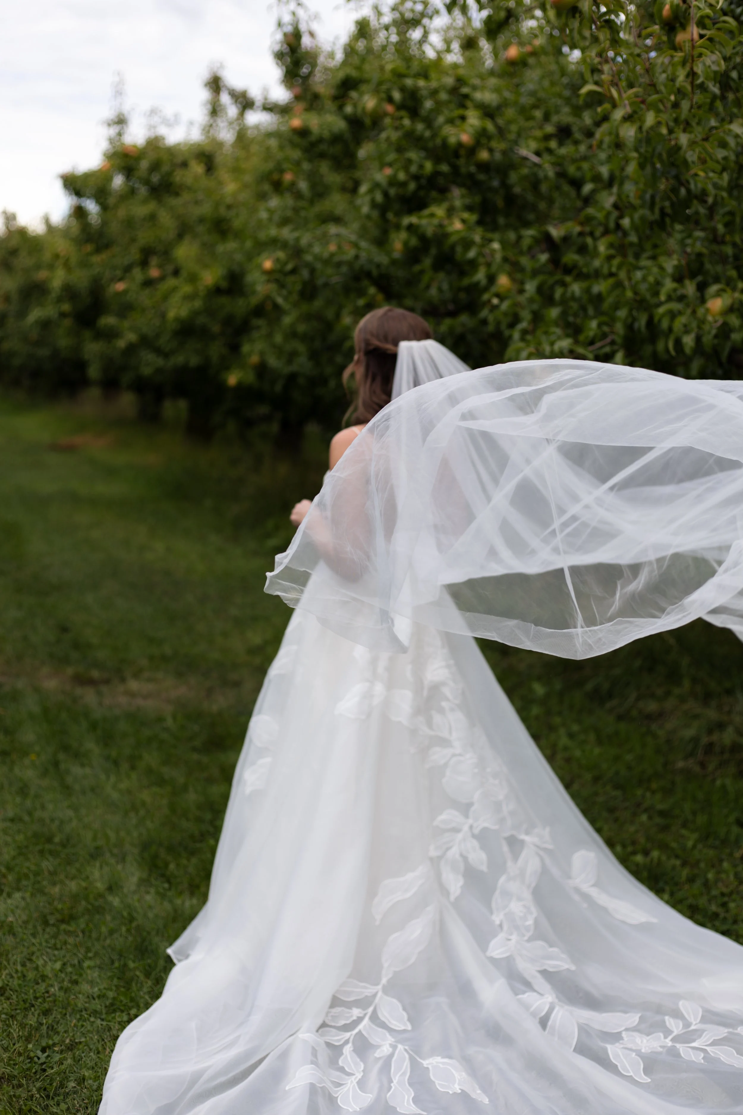 Bride in a white wedding gown walking through a green orchard, with a veil flowing behind her.