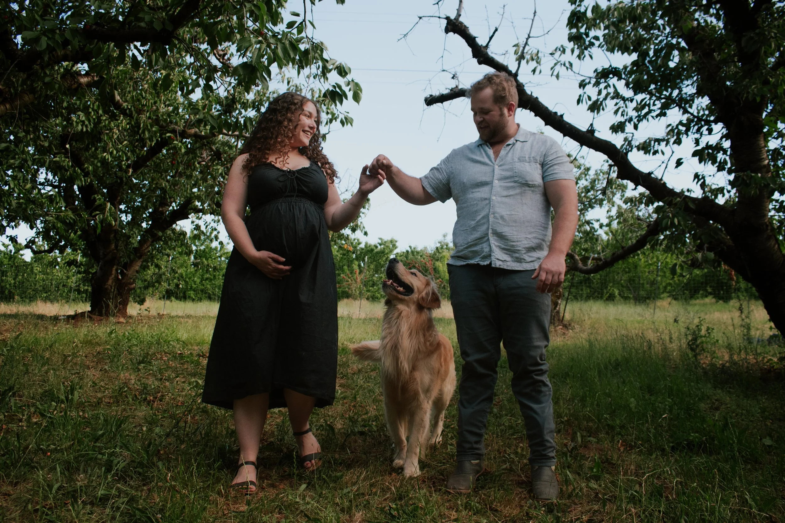 A smiling couple with a pregnant woman fist bumping outdoors near a large tree, with a golden retriever dog sitting in front of them, during daytime.