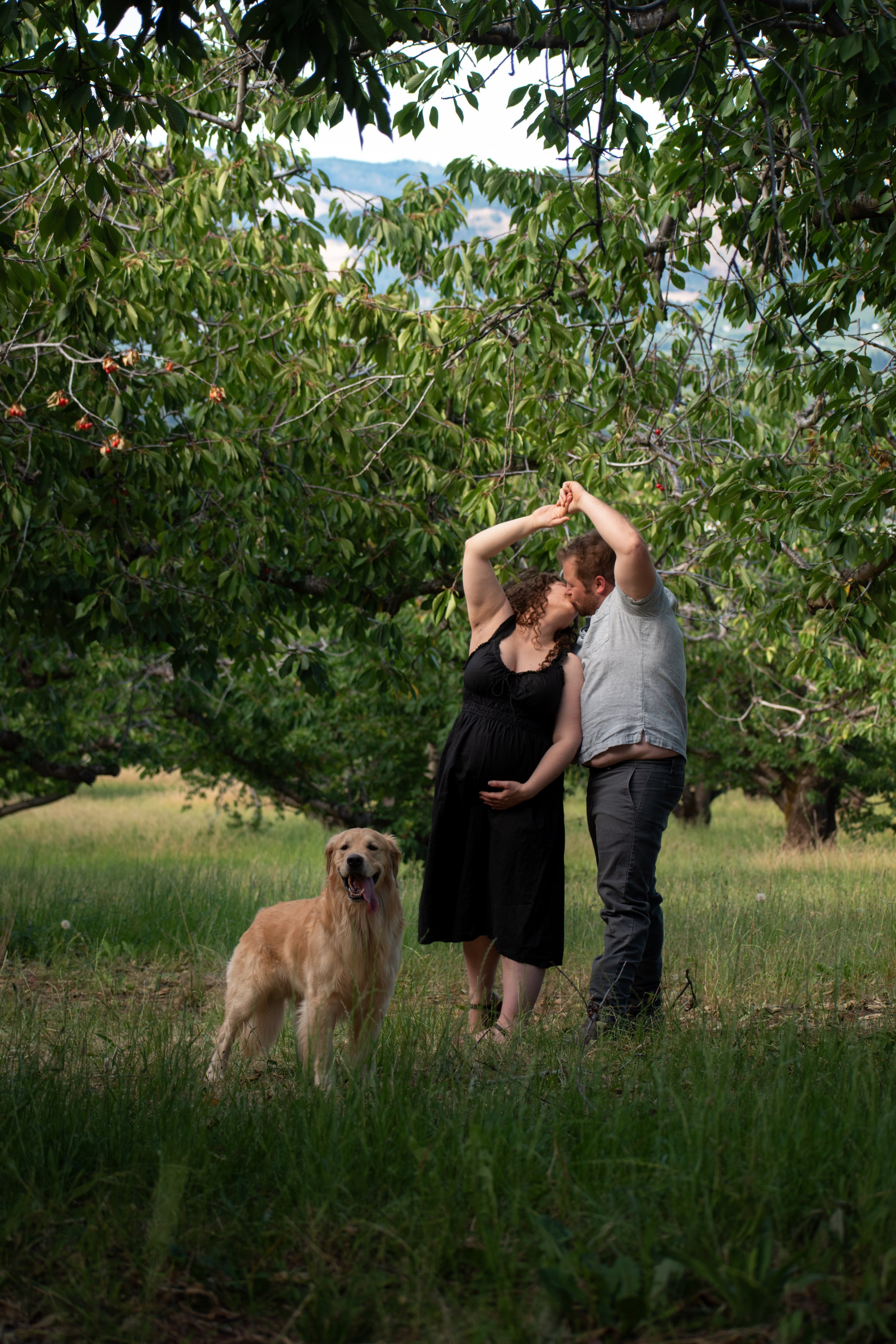 A couple sharing a kiss in a park-like setting with green grass and trees, accompanied by a golden retriever dog.