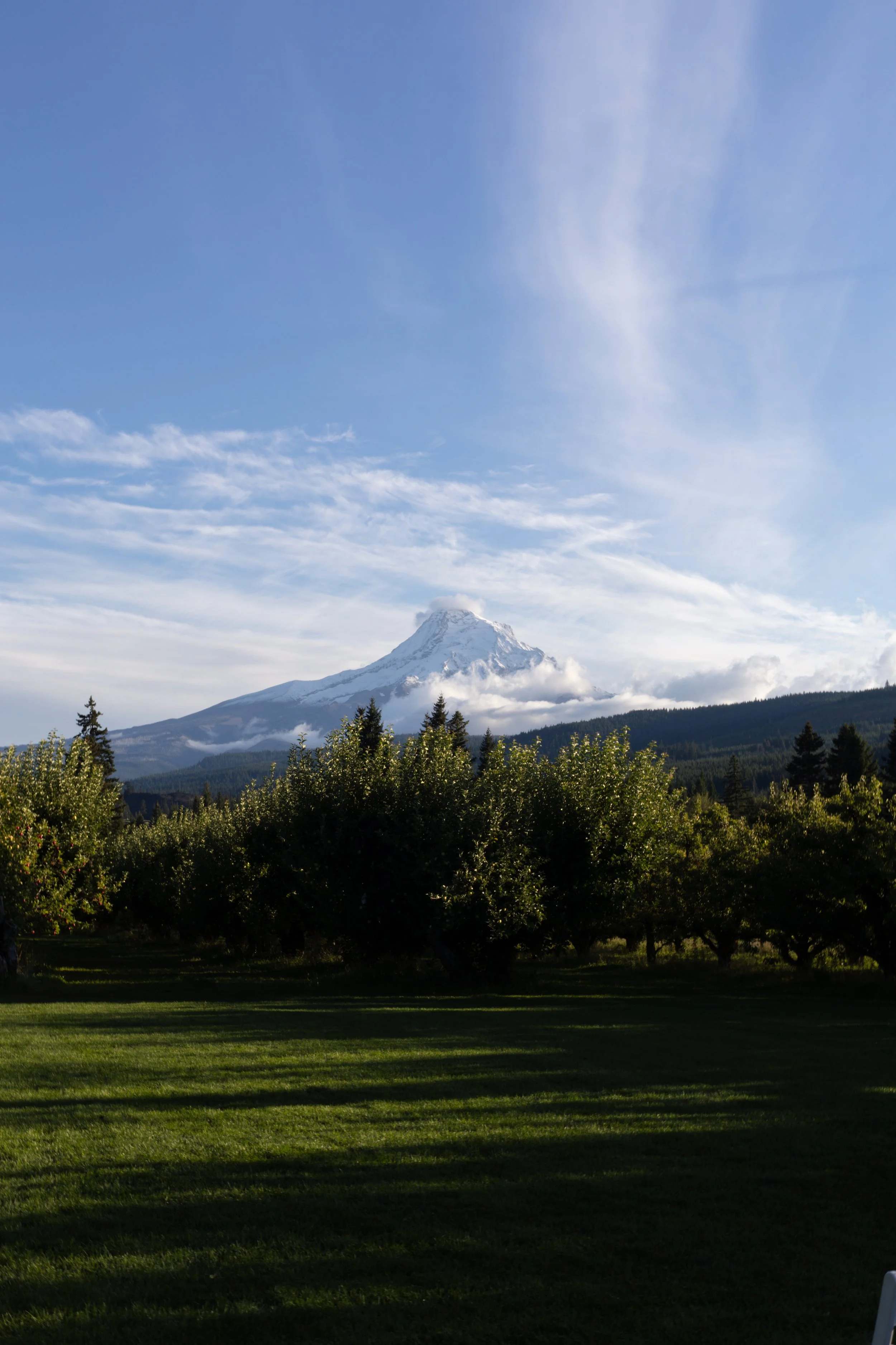 Snow-capped mountain with partly cloudy sky and green trees in the foreground.