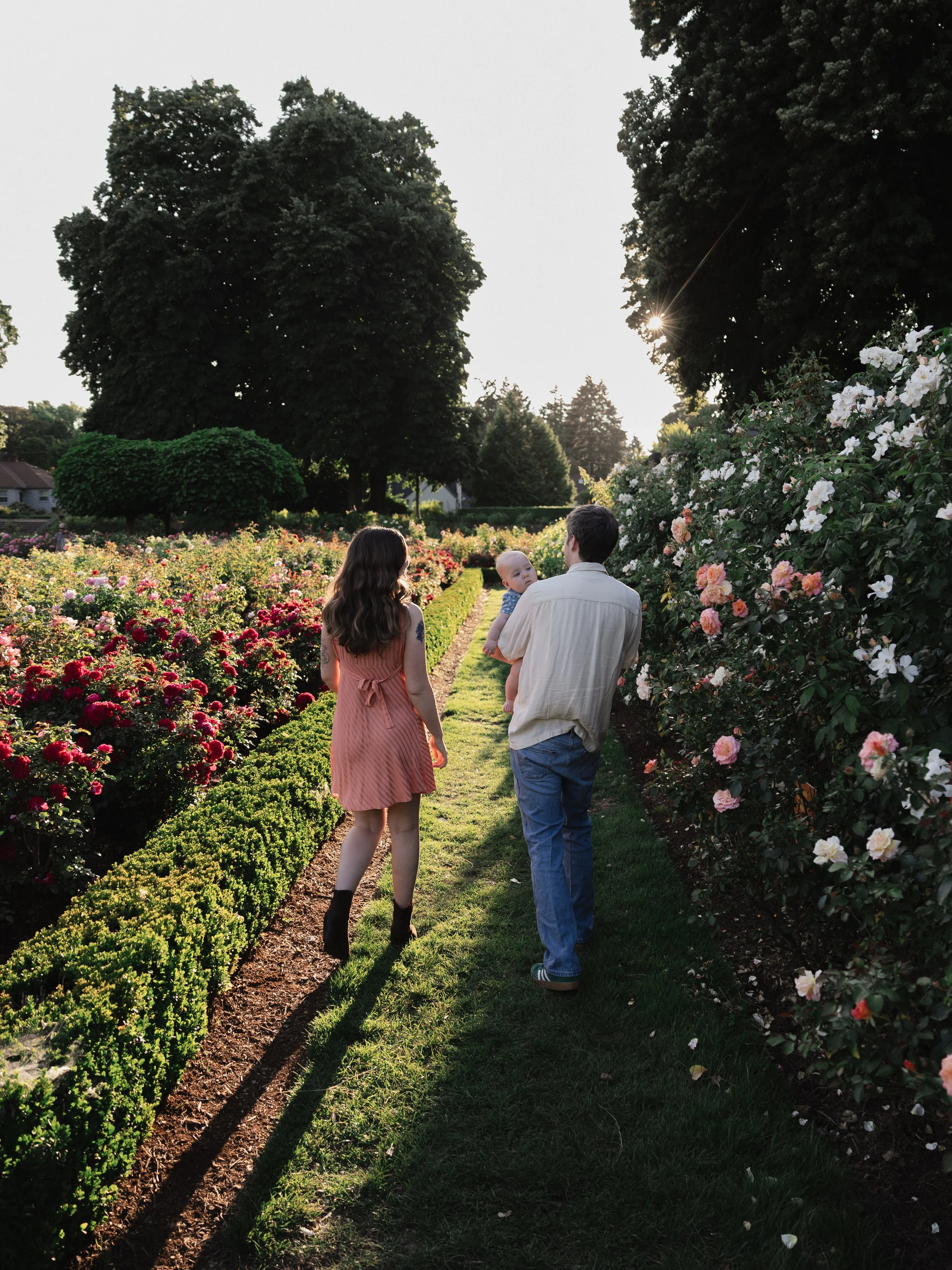 A family of three walking through a garden filled with colorful roses, with large trees and sunlight shining through the leaves in the background.