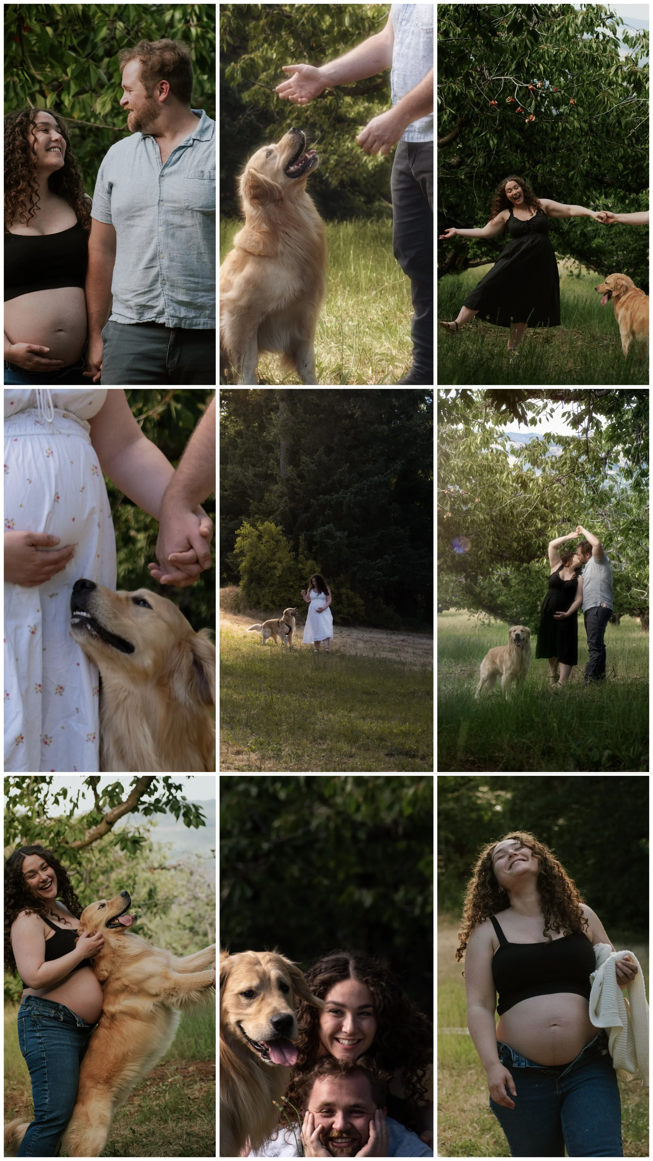 Collage of photos featuring a pregnant woman, her partner, and a golden retriever dog in a lush outdoor setting. The woman and partner are playful and affectionate, with scenes of them holding hands, walking with the dog, and embracing. The dog is shown sitting and interacting closely with the woman. The background includes green trees, grass, and sunlight.