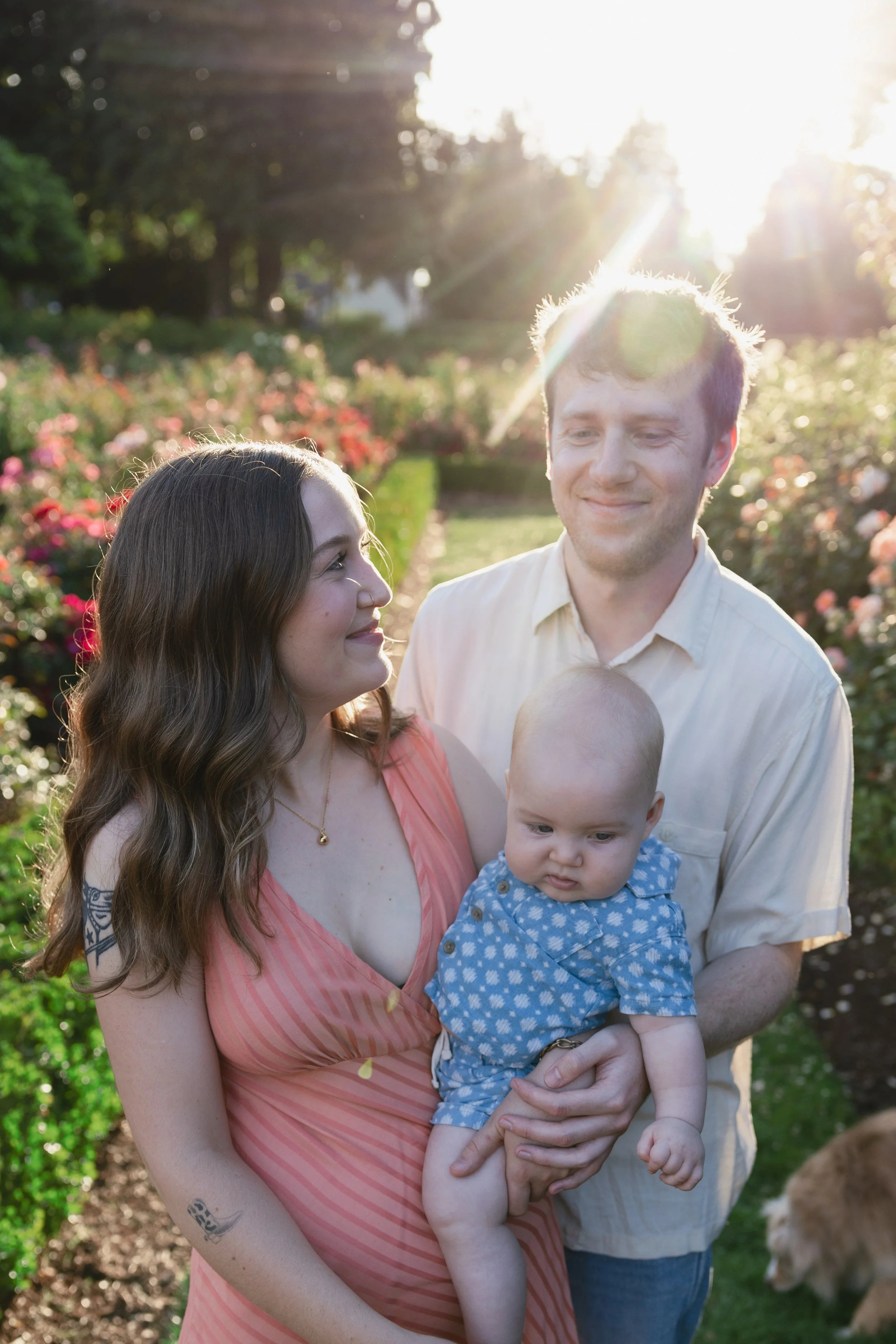 A family of four, with a woman holding a baby, a man, and a young girl, outside in a garden with colorful flowers and sunlight overhead.