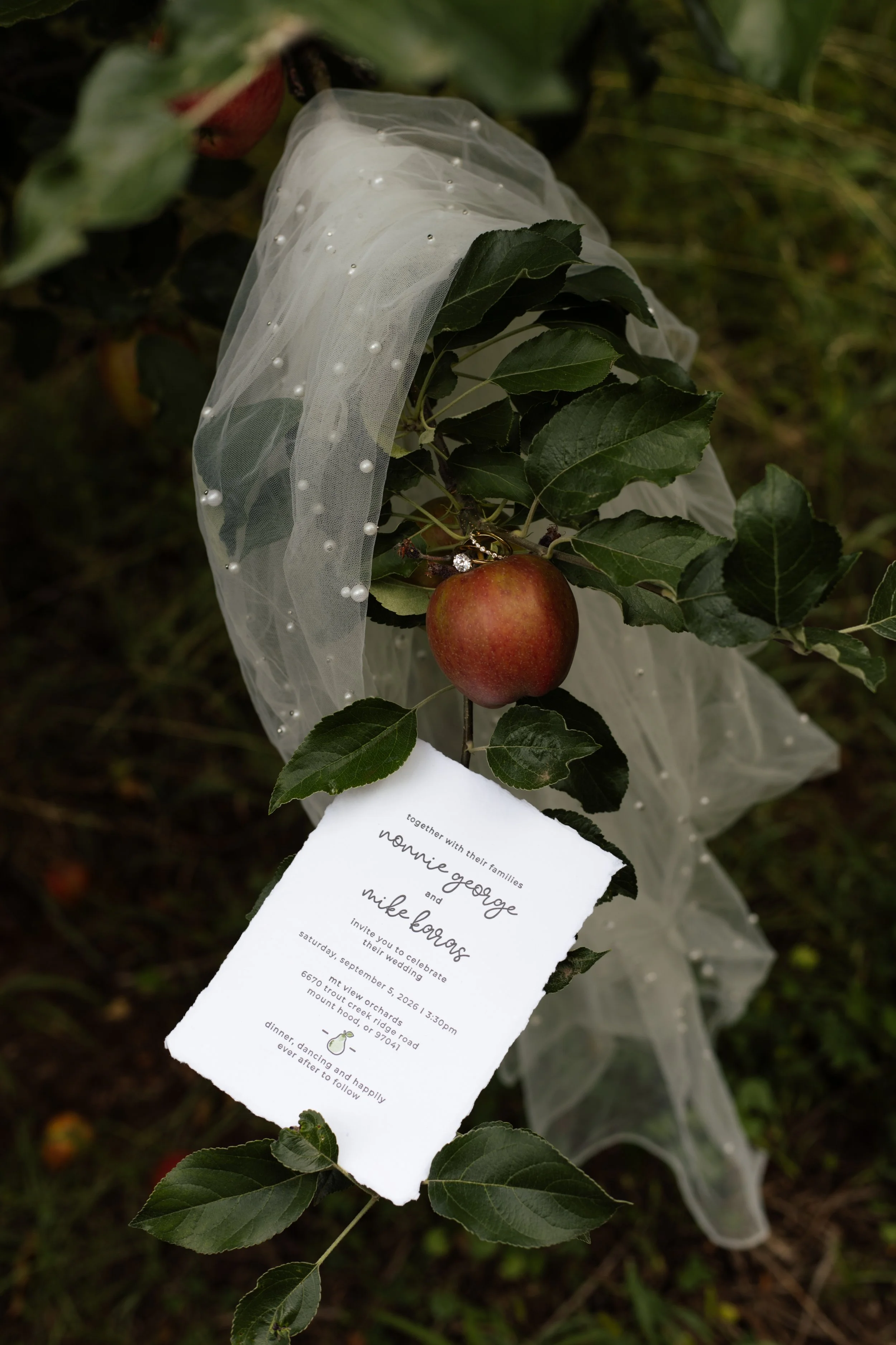A wedding invitation attached to a green apple on a tree branch, wrapped with white tulle fabric with pearl embellishments, and surrounded by green leaves, with a blurred background.