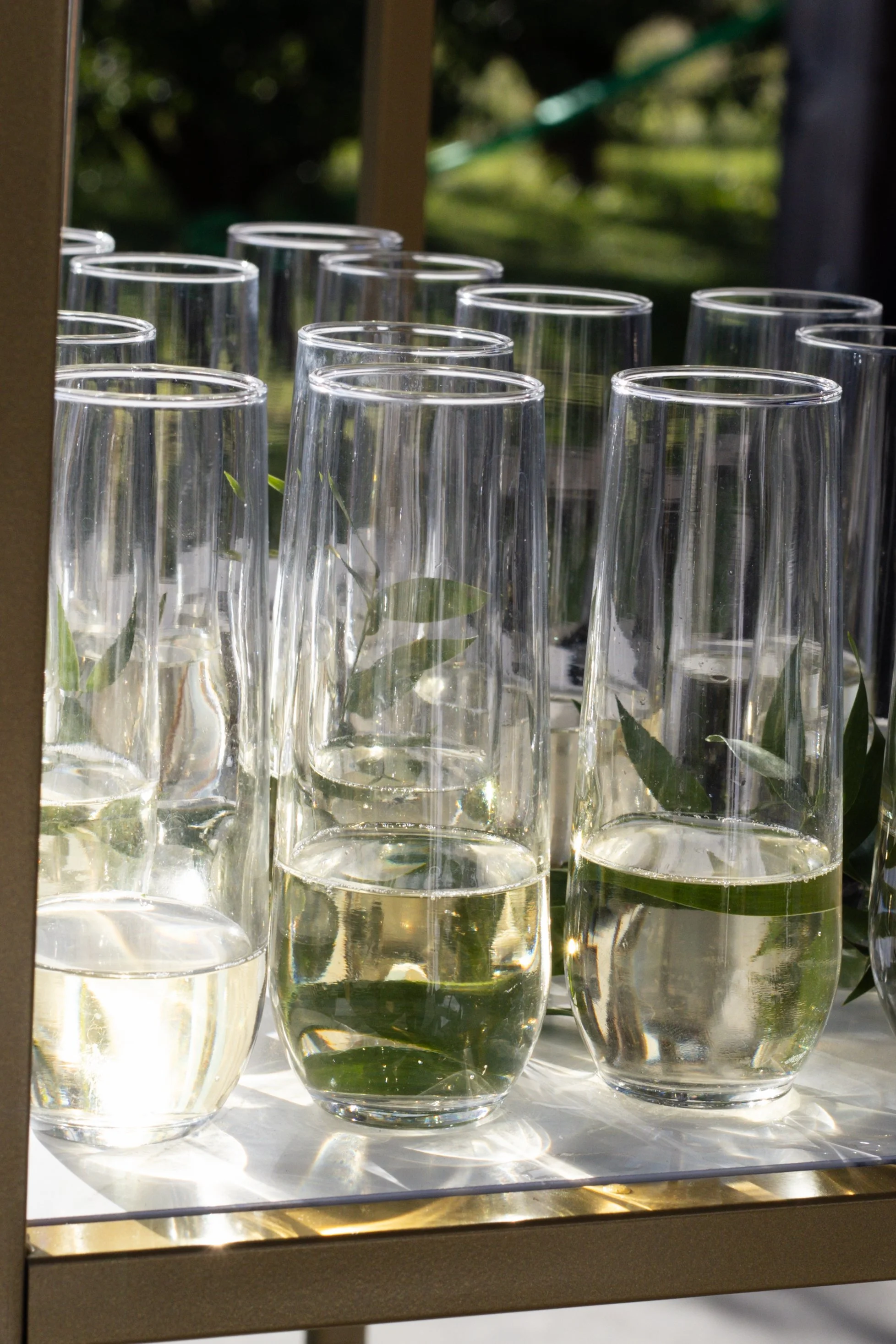 Multiple clear glasses filled with water on a white surface, with green leaves floating inside some glasses, outdoors with trees and sunlight in the background.