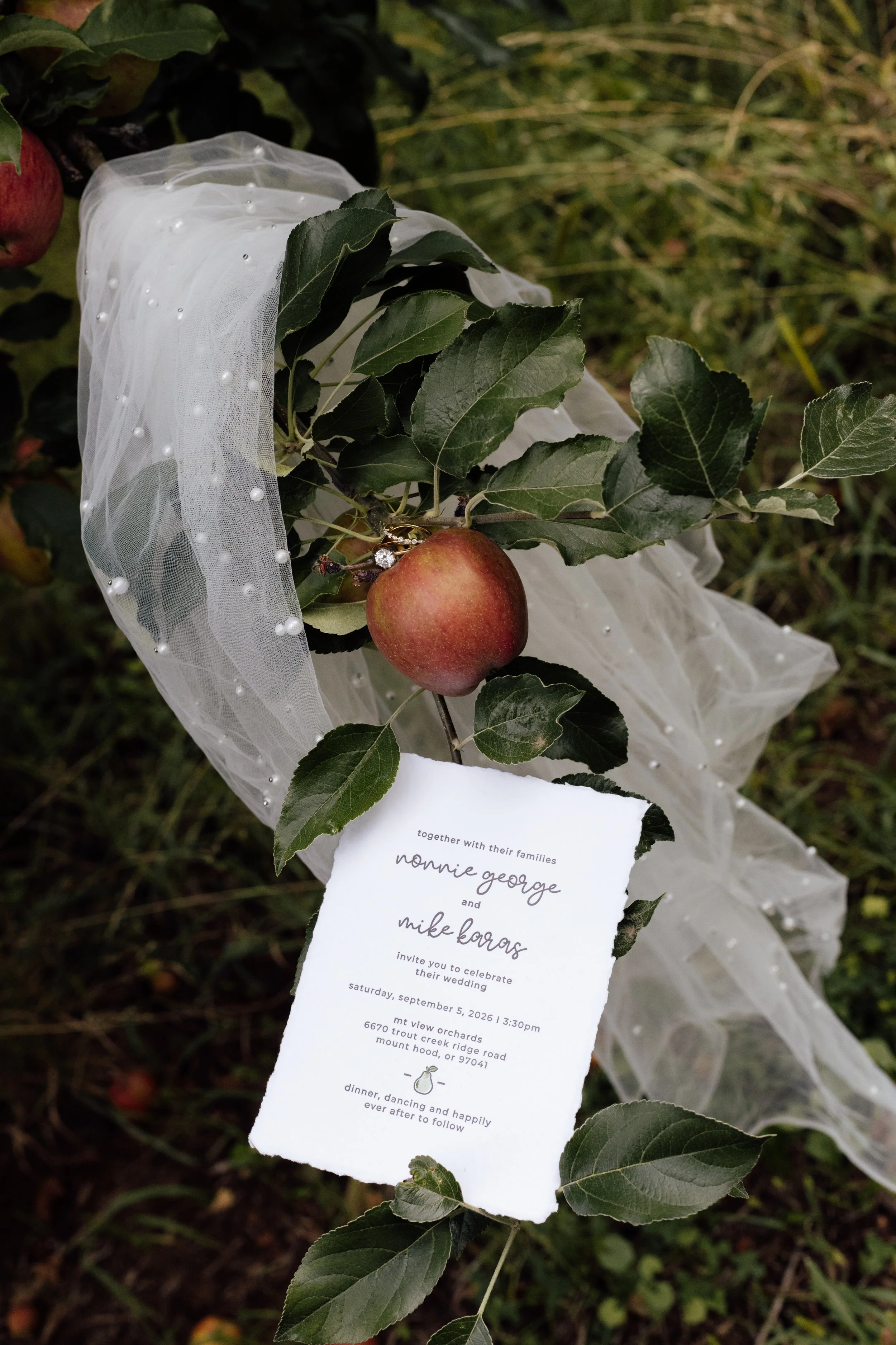 A wedding invitation placed on an apple branch surrounded by green leaves, with a white decorative cloth with pearl accents draped over the branch in an apple orchard, called Mt. View Orchards
