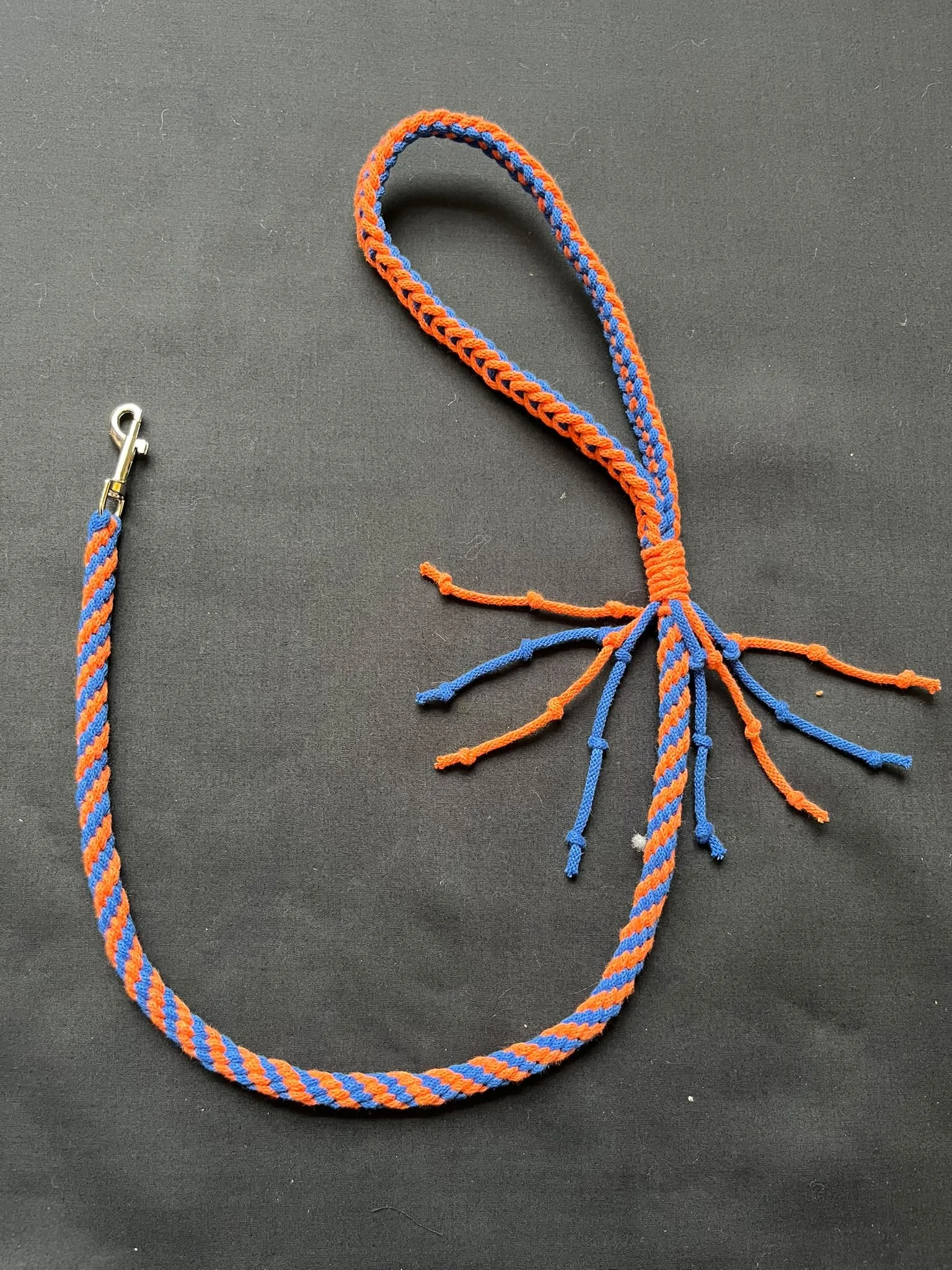 Two Colour Lead, Lightweight (50 to 100cm)