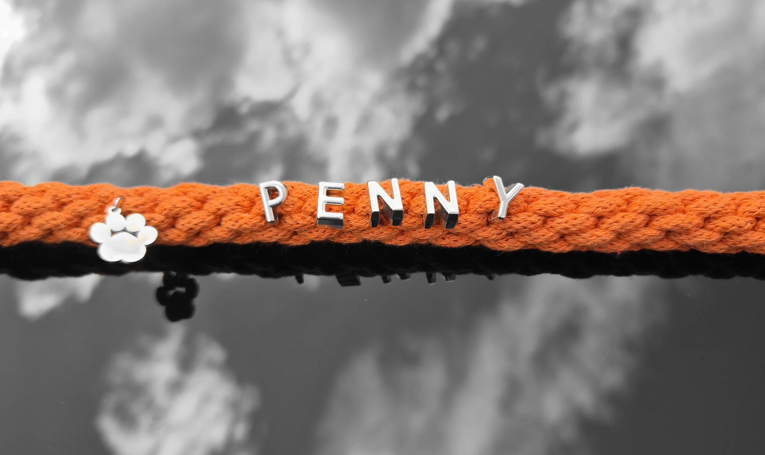 Close-up of orange rope with metal letter beads spelling 'PENNY' and flower-shaped charm, reflection on shiny black surface, cloudy sky in background.