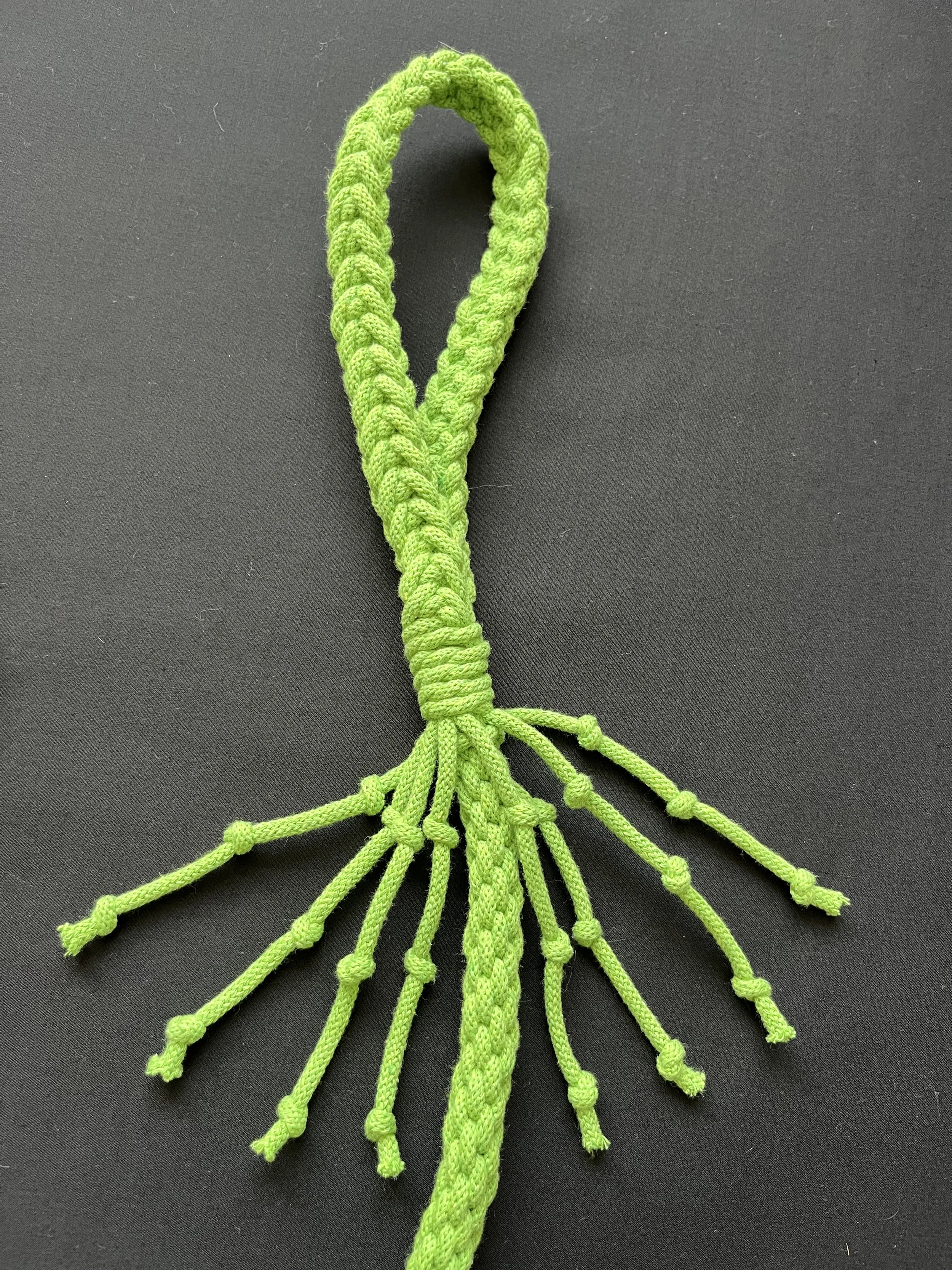 A green braided dog lead with loose strands hanging from the braided section, placed on a black background.