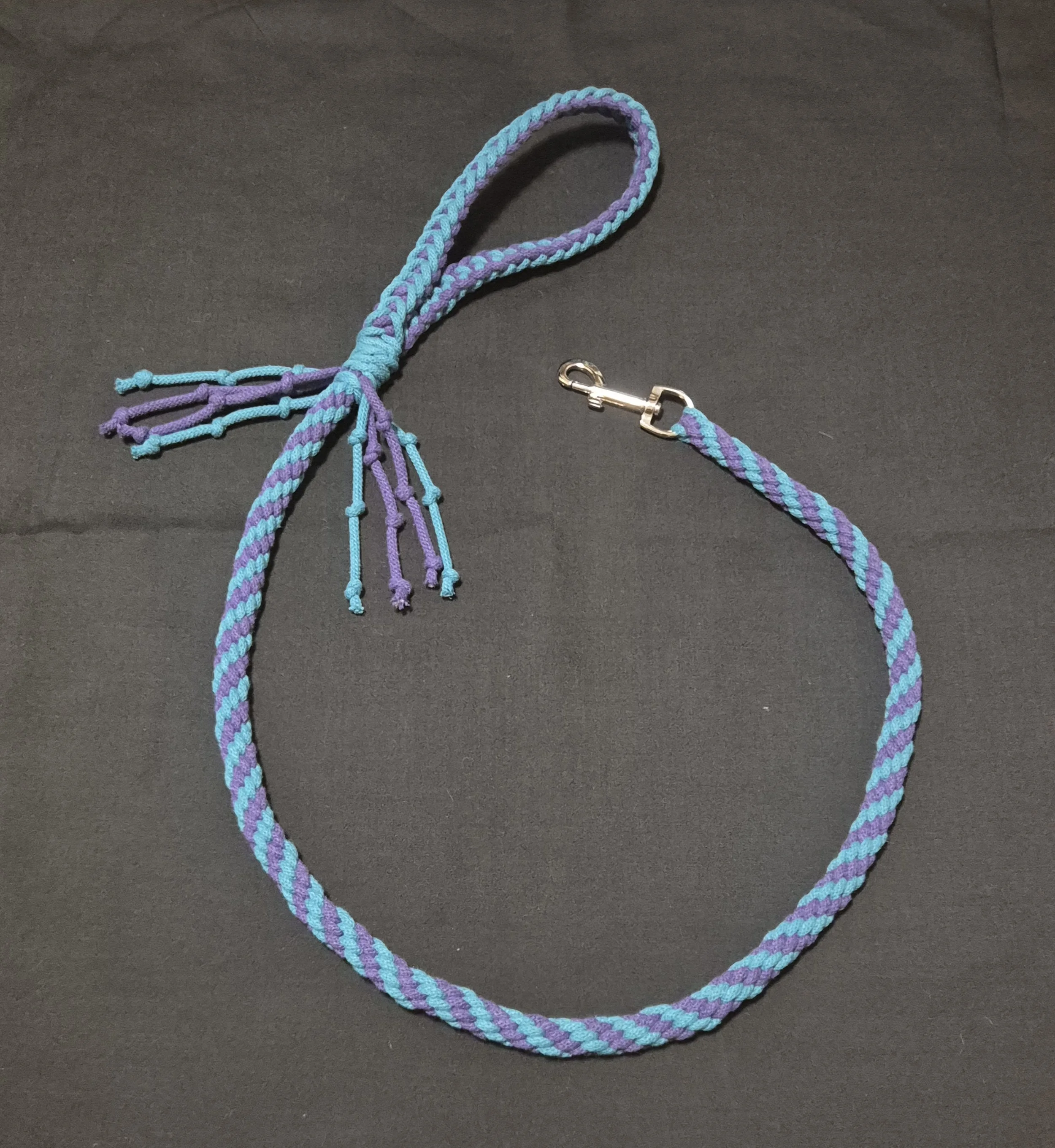 A braided dog lead with a metal clasp, made of turquoise, purple, and blue strands on a black background.