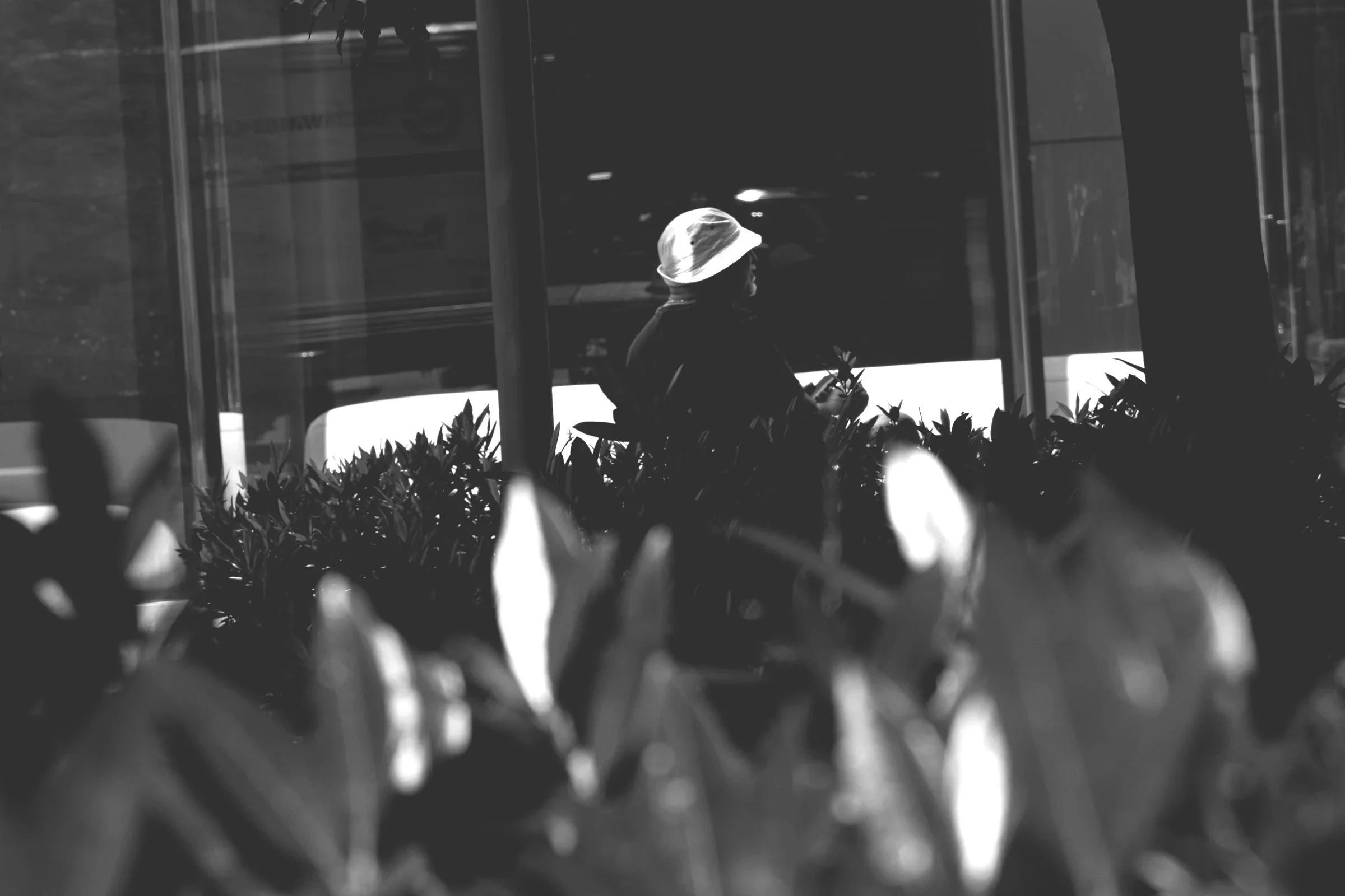 hatgreenbushb%2Bw.jpg