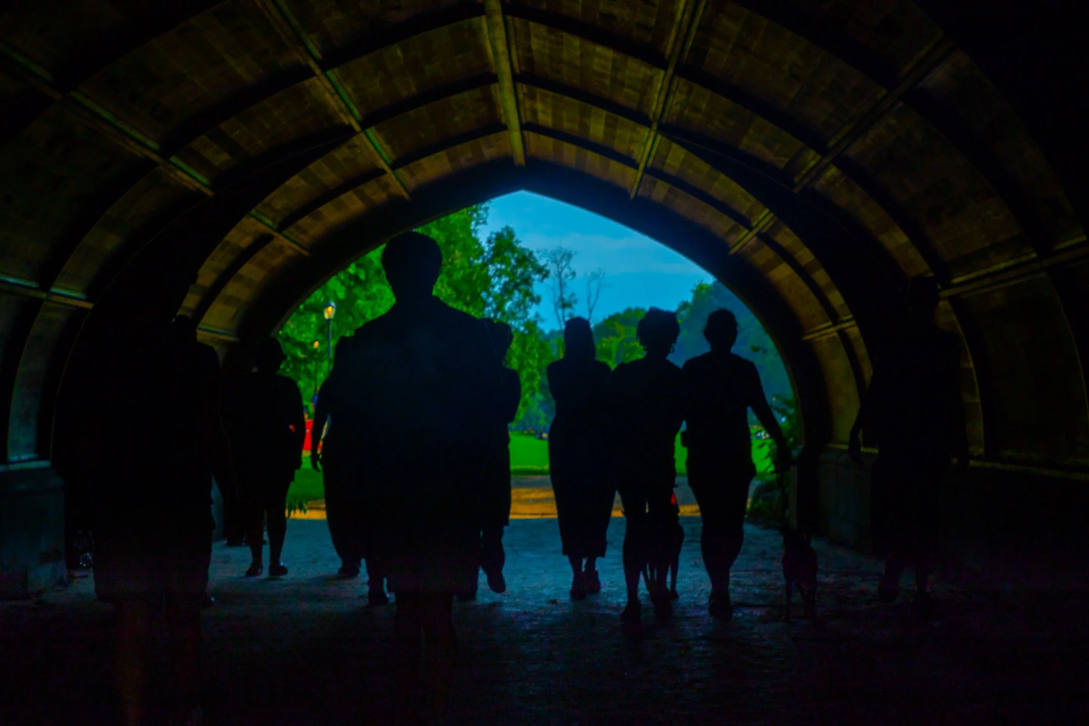 greentunnel1.jpg