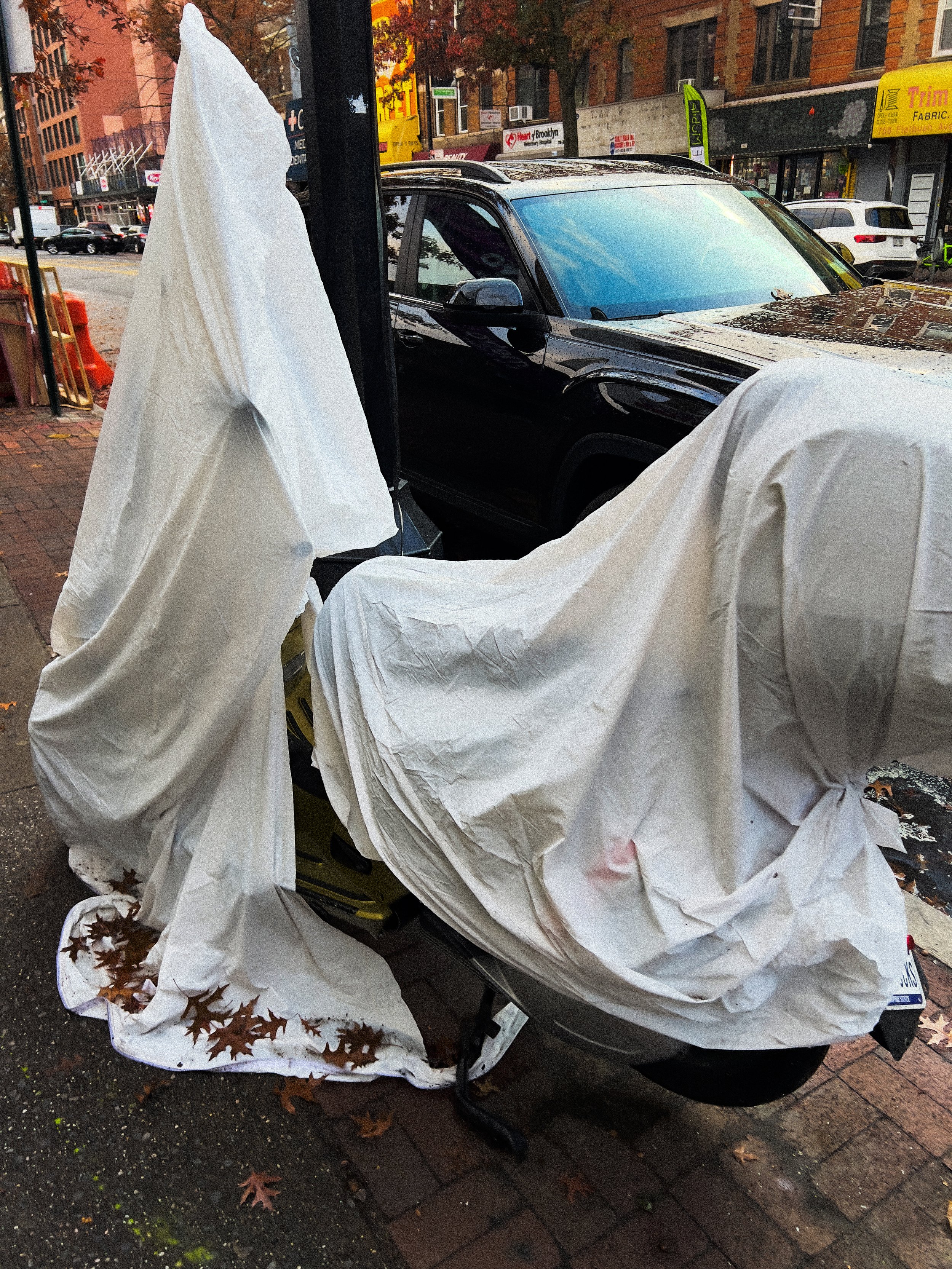 whitesheet.jpg