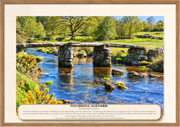 031 Postbridge, Dartmoor.png