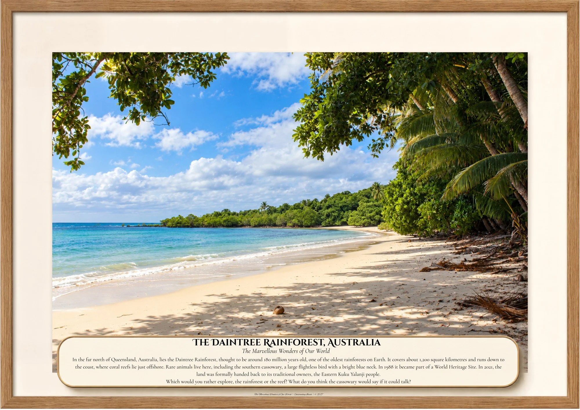 024 The Daintree Rainforest, Australia.jpg